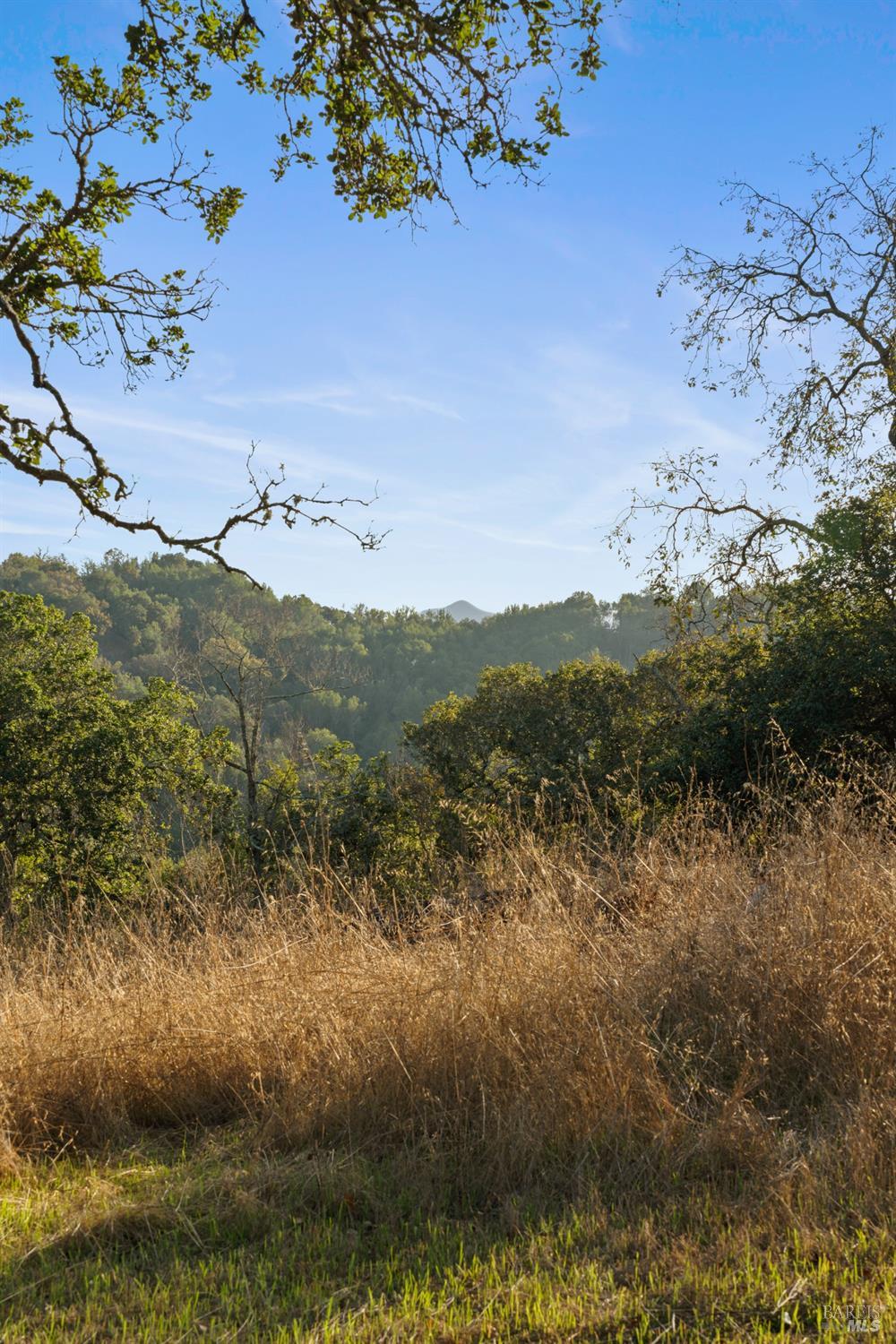 13 Prairie Falcon Dr