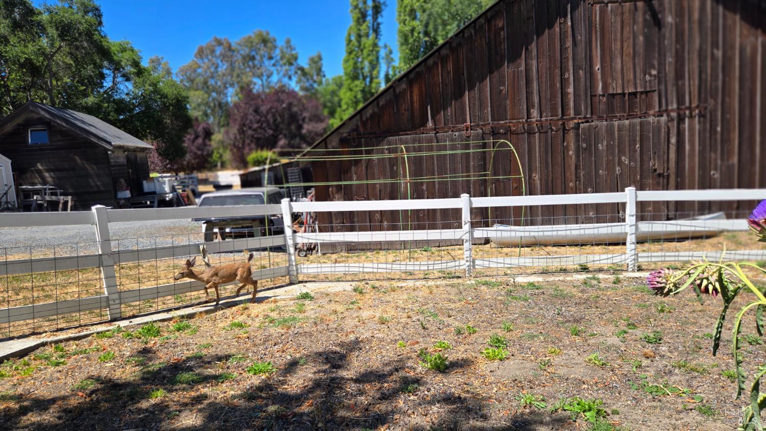125 Adobe Rd