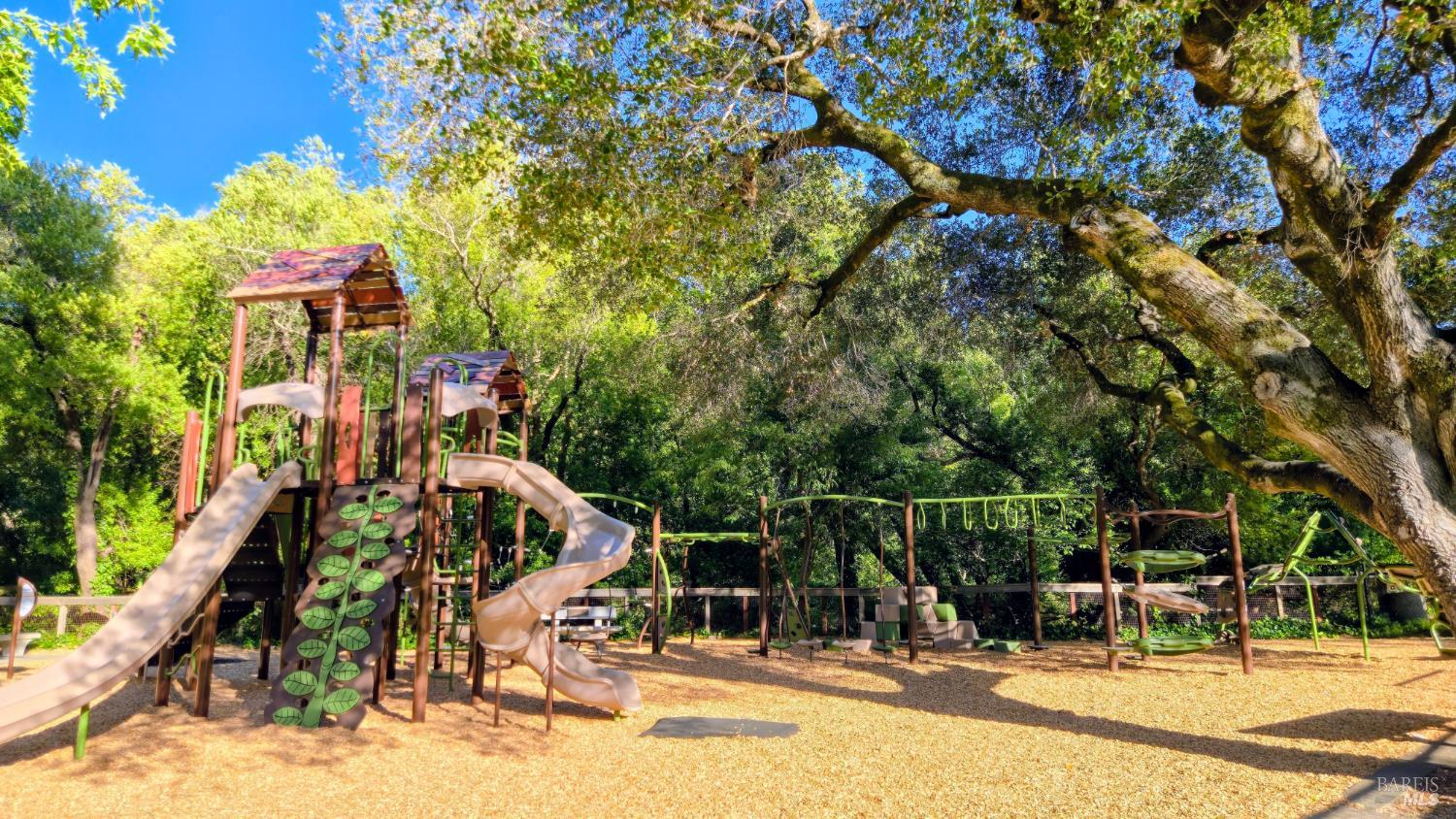 116 Twelveoak Hill Drive