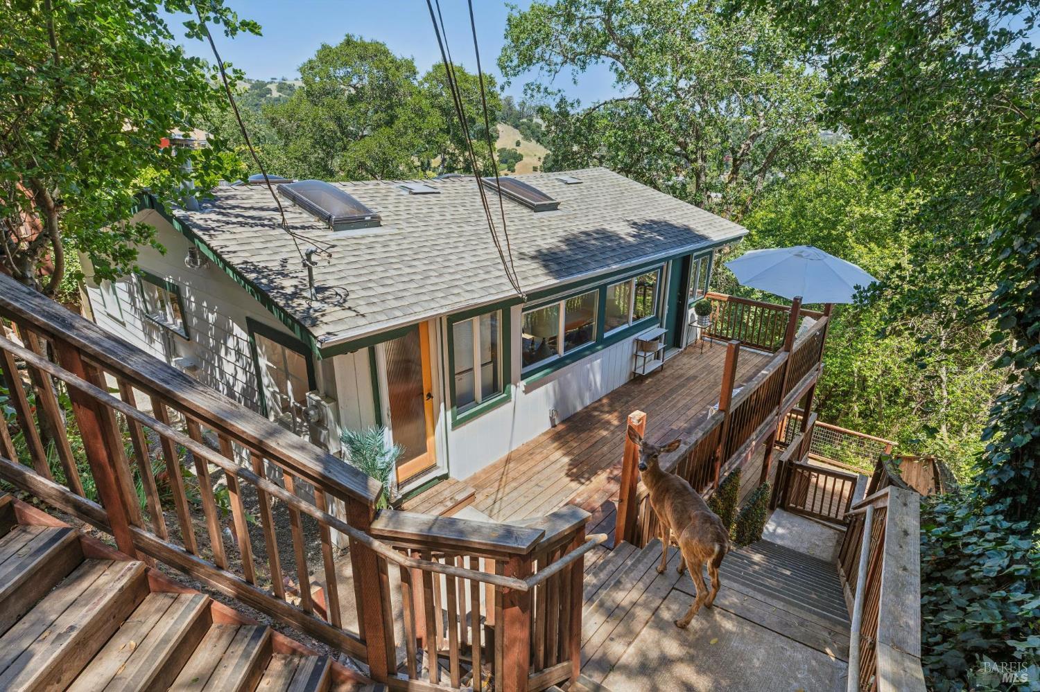 51 Berry Trail