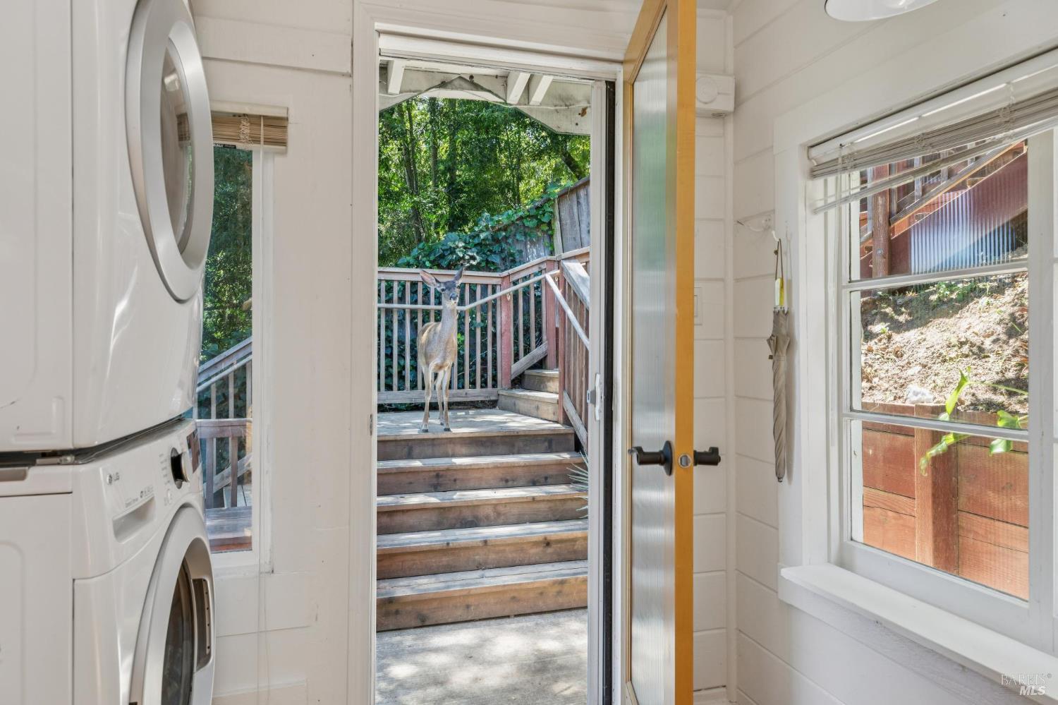 51 Berry Trail