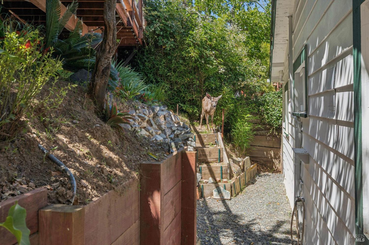 51 Berry Trail