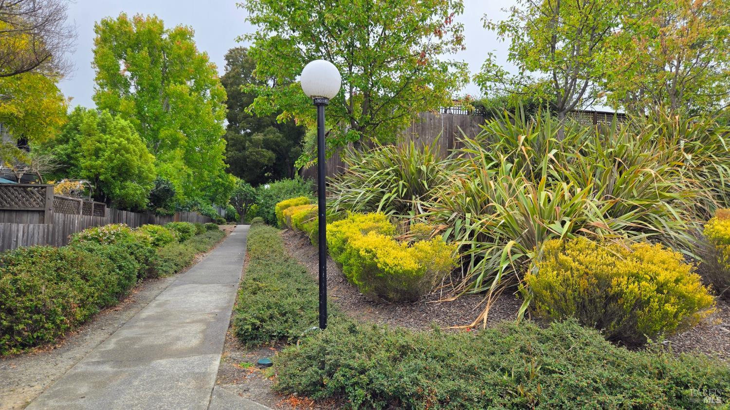 203 Sylvia Way