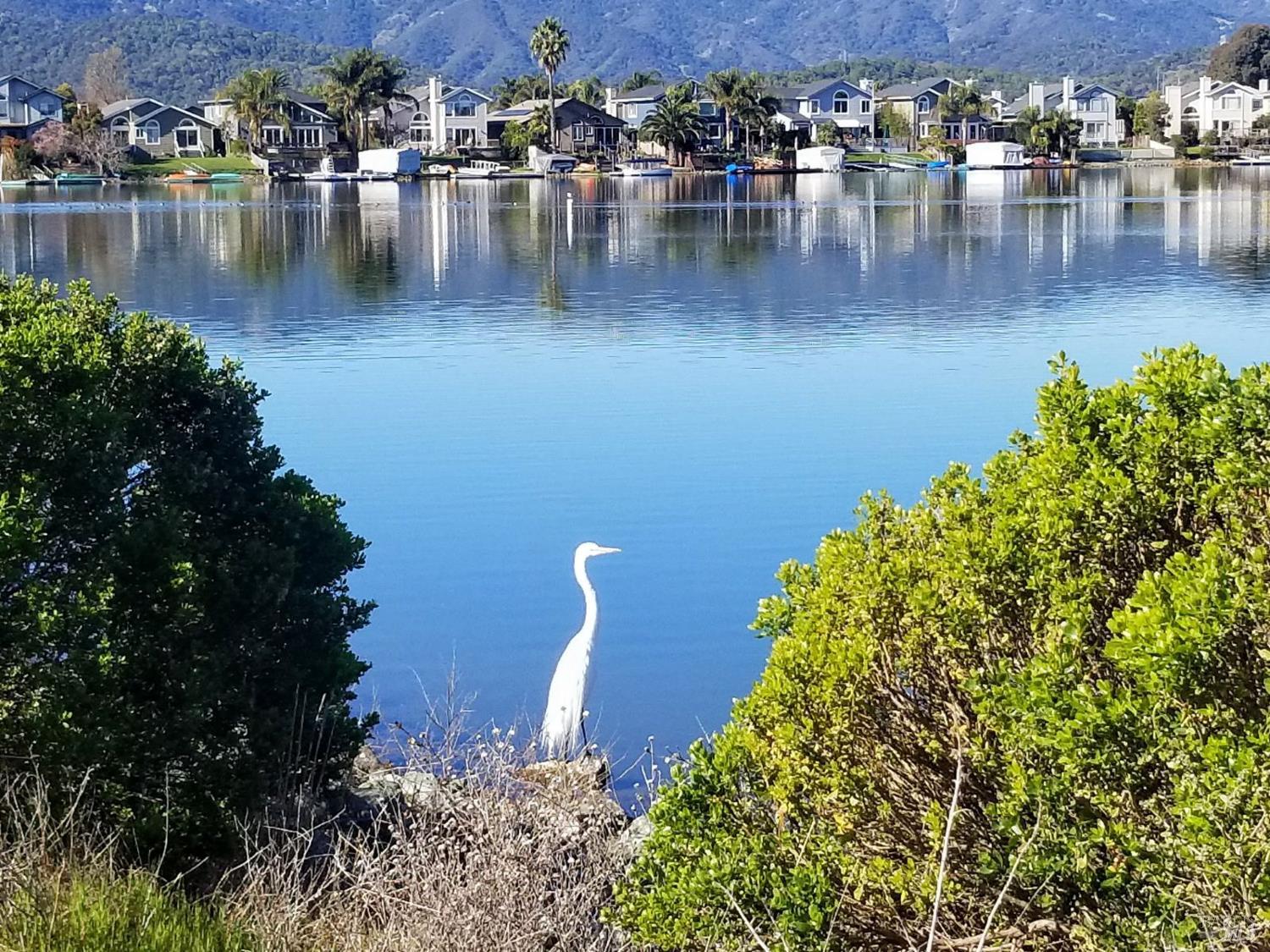 902 Bel Marin Keys Boulevard