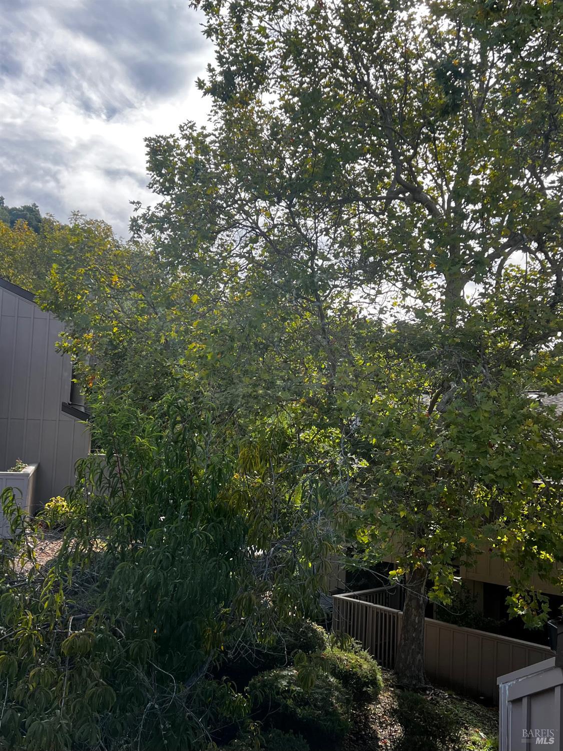 6 Josefa Court