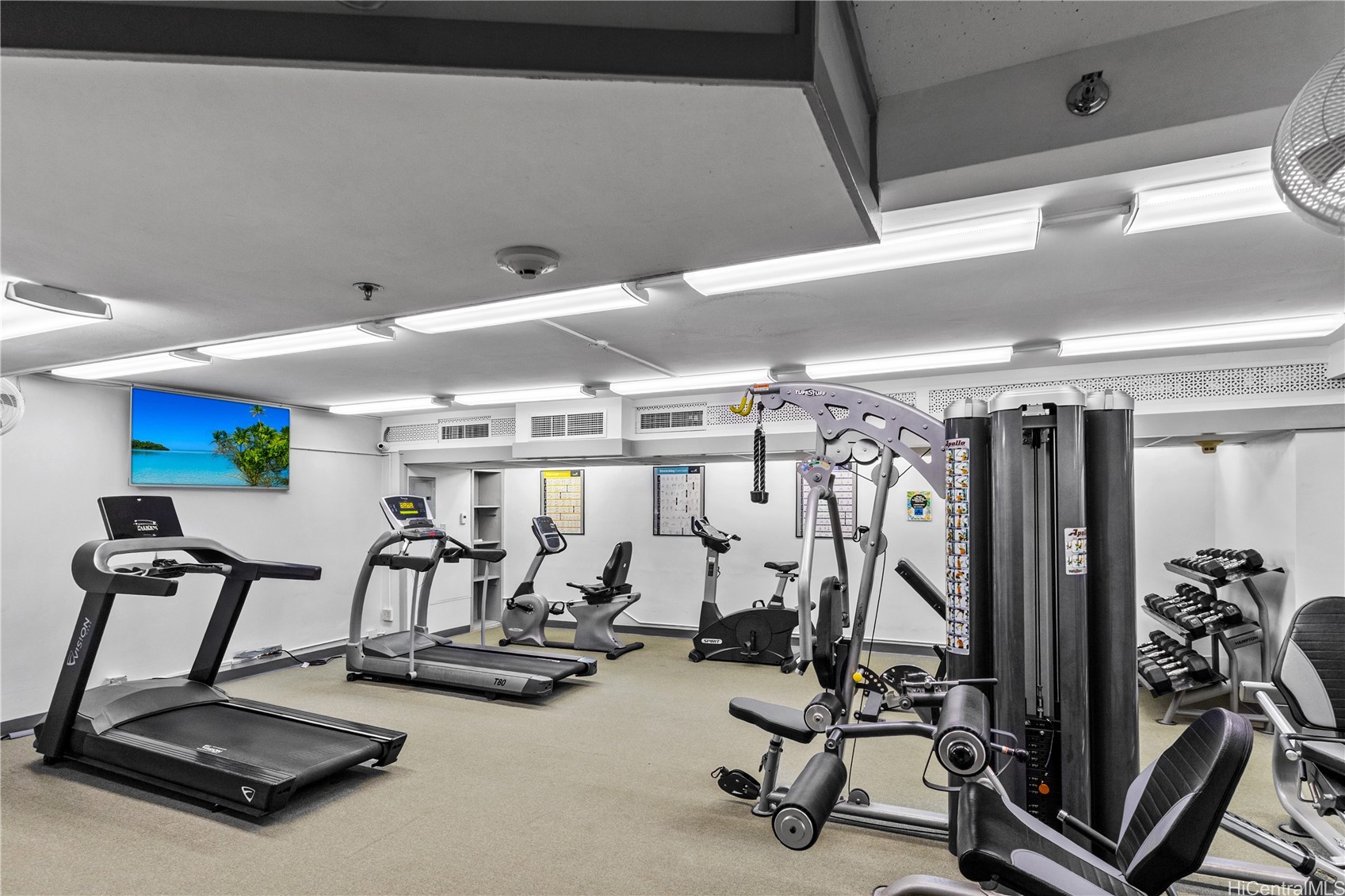 229 Paoakalani Avenue 3101