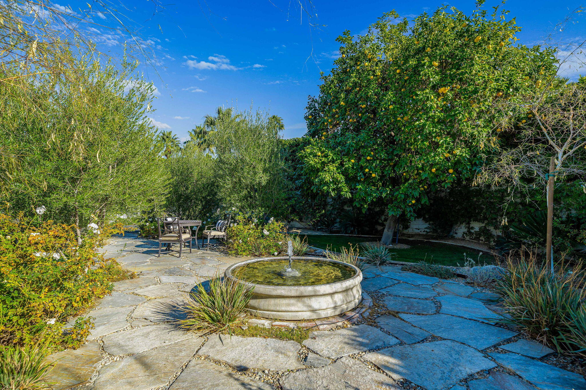 1190 E Paseo El Mirador