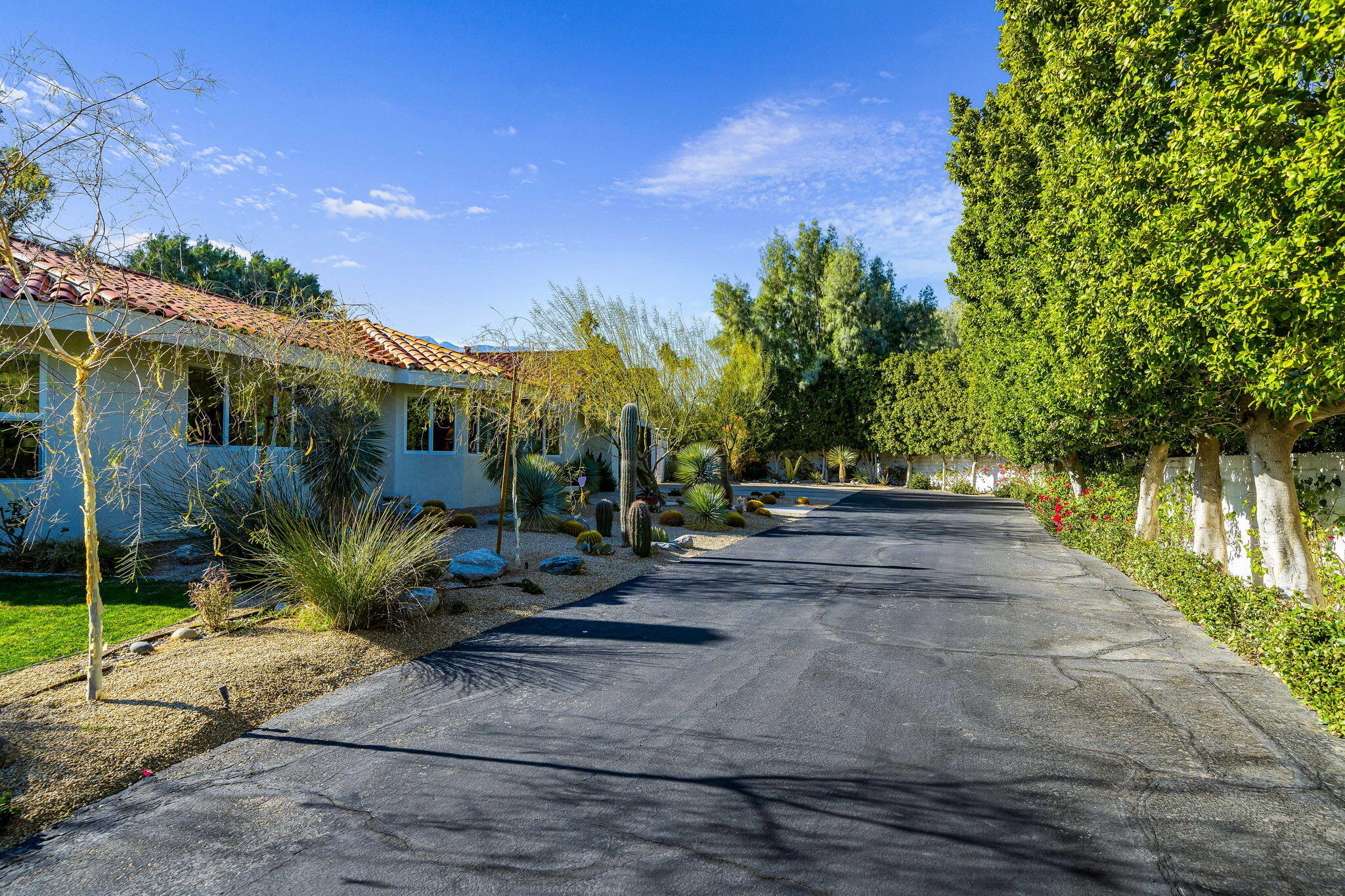 1190 E Paseo El Mirador