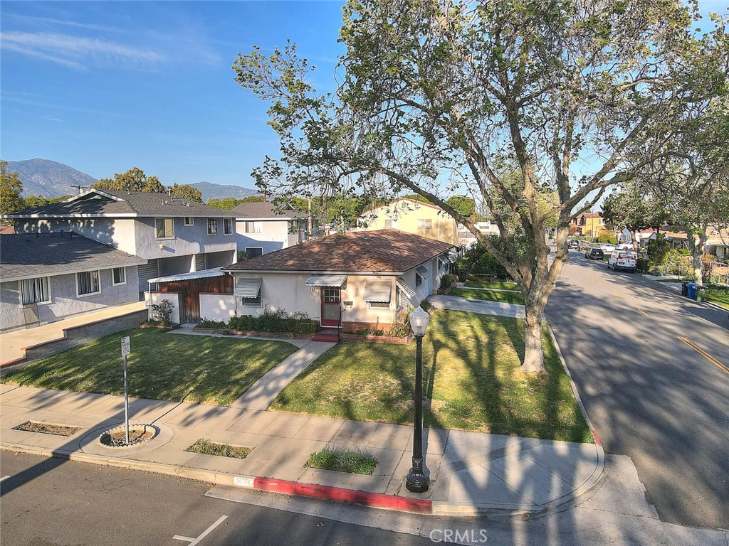 5804 Primrose