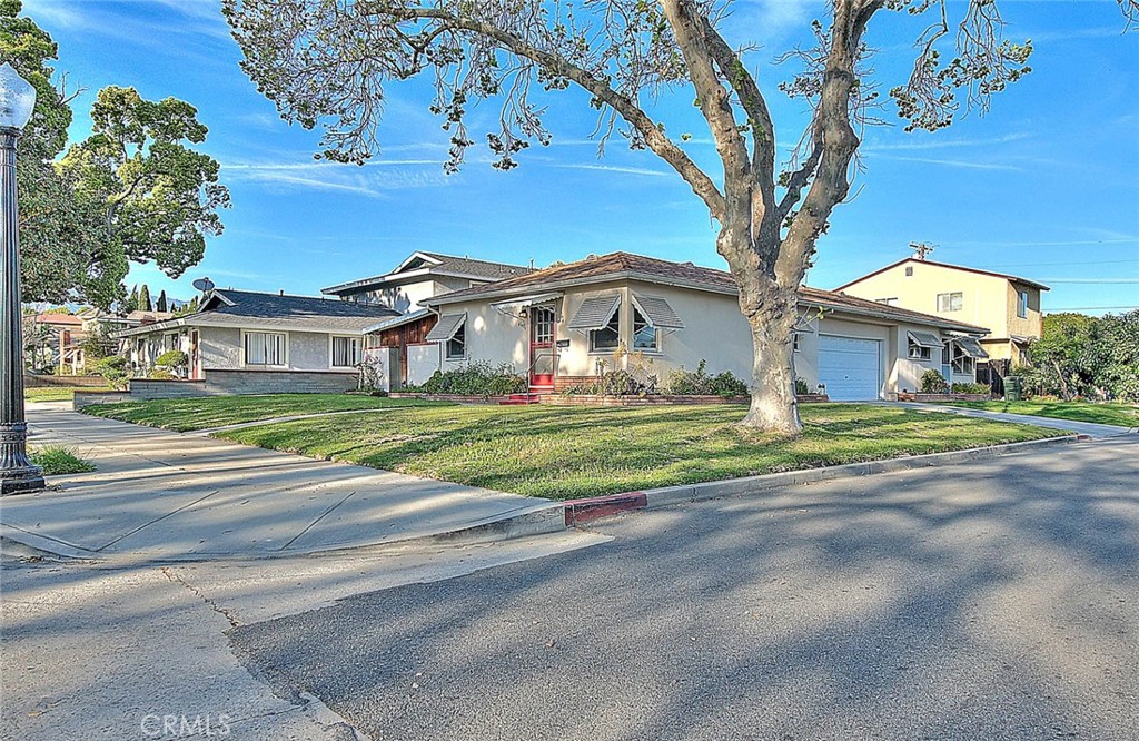 5804 Primrose