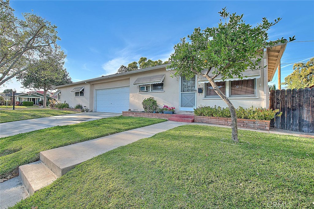 5804 Primrose