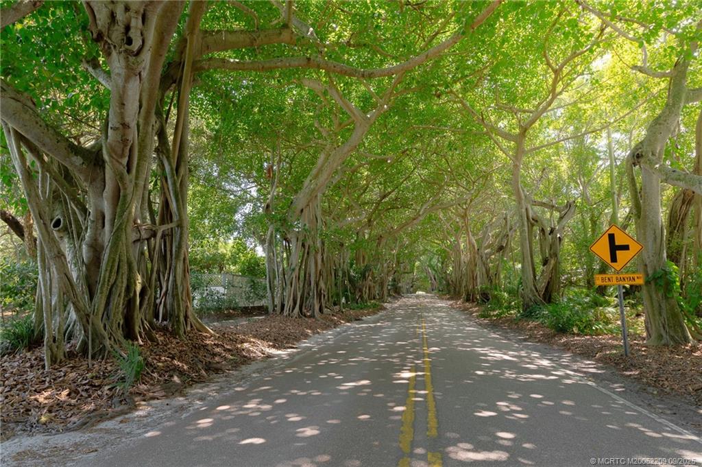 3800 SE Bent Banyan Way