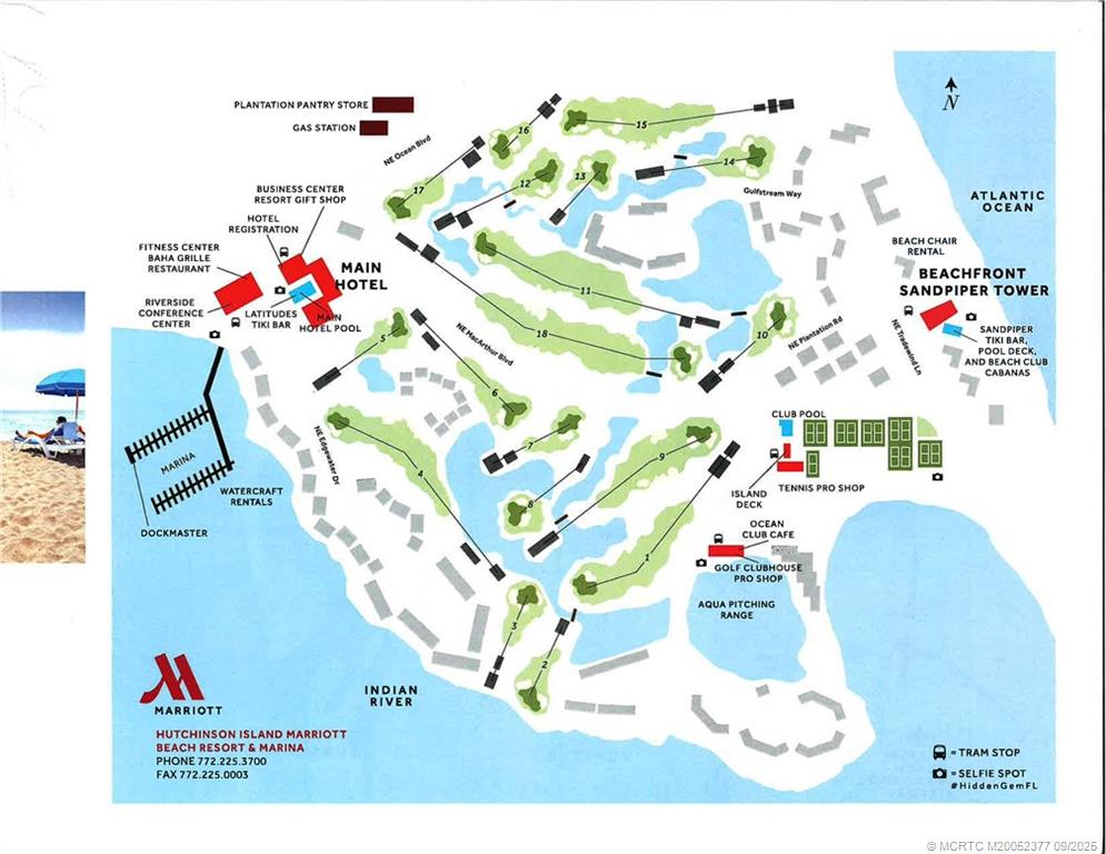 40 NE Plantation Road 317