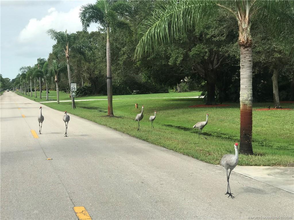 4335 SW Bimini Circle S