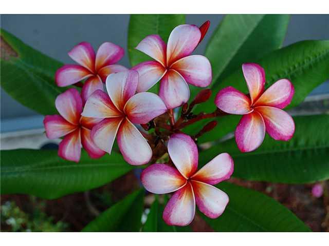 3100 SE Brook Street 3100