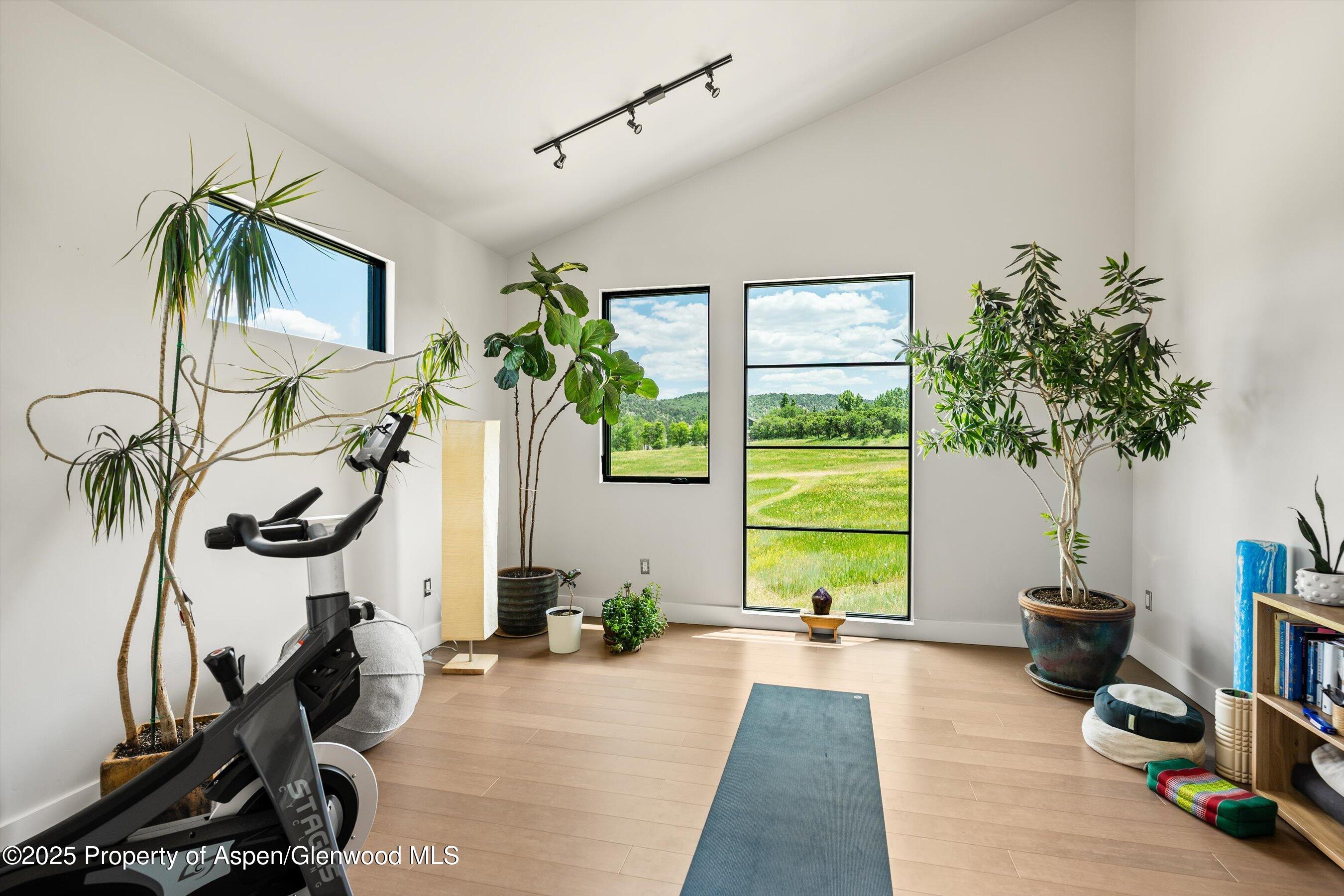 442 Silver King Court