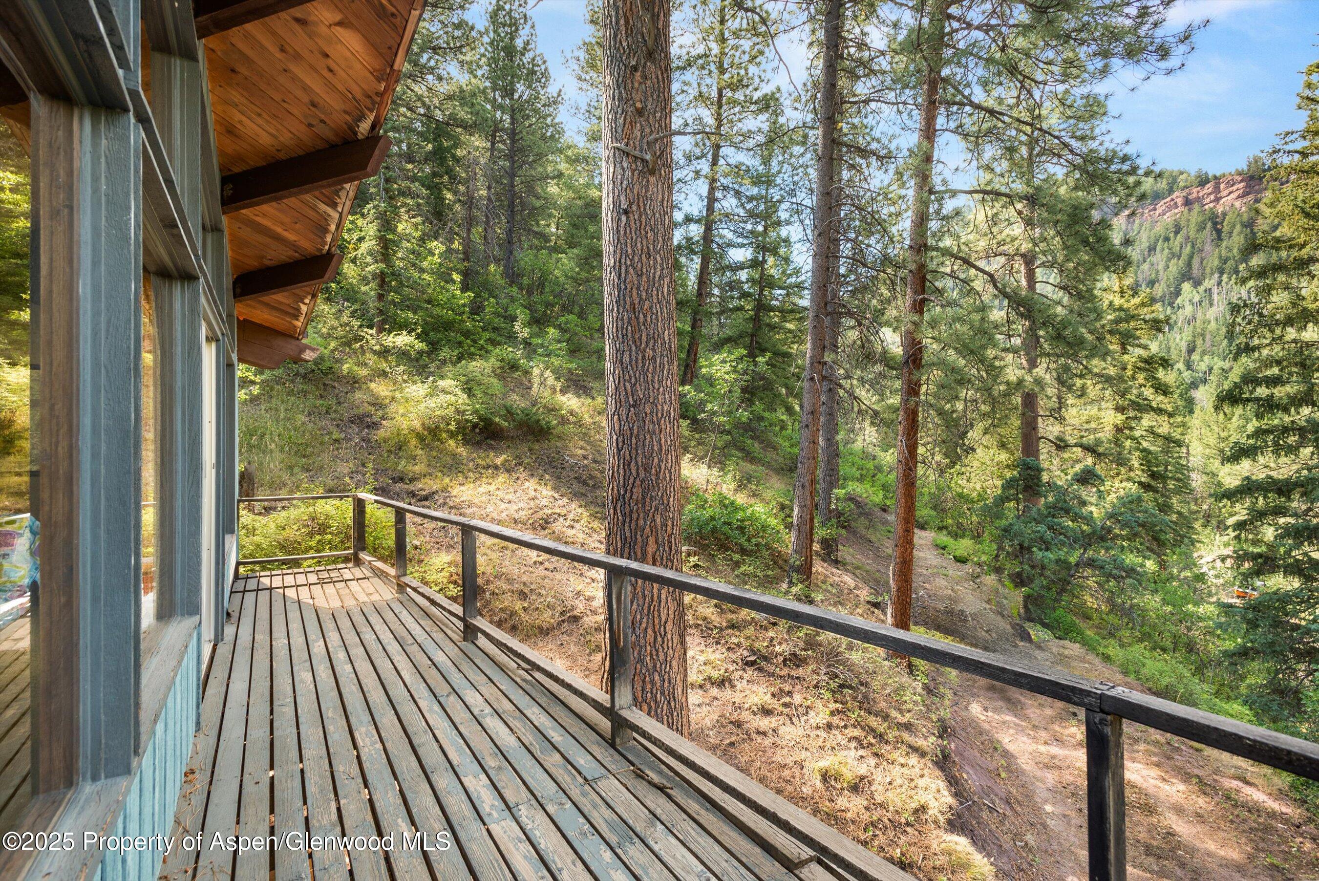 209 Big Horn Lane