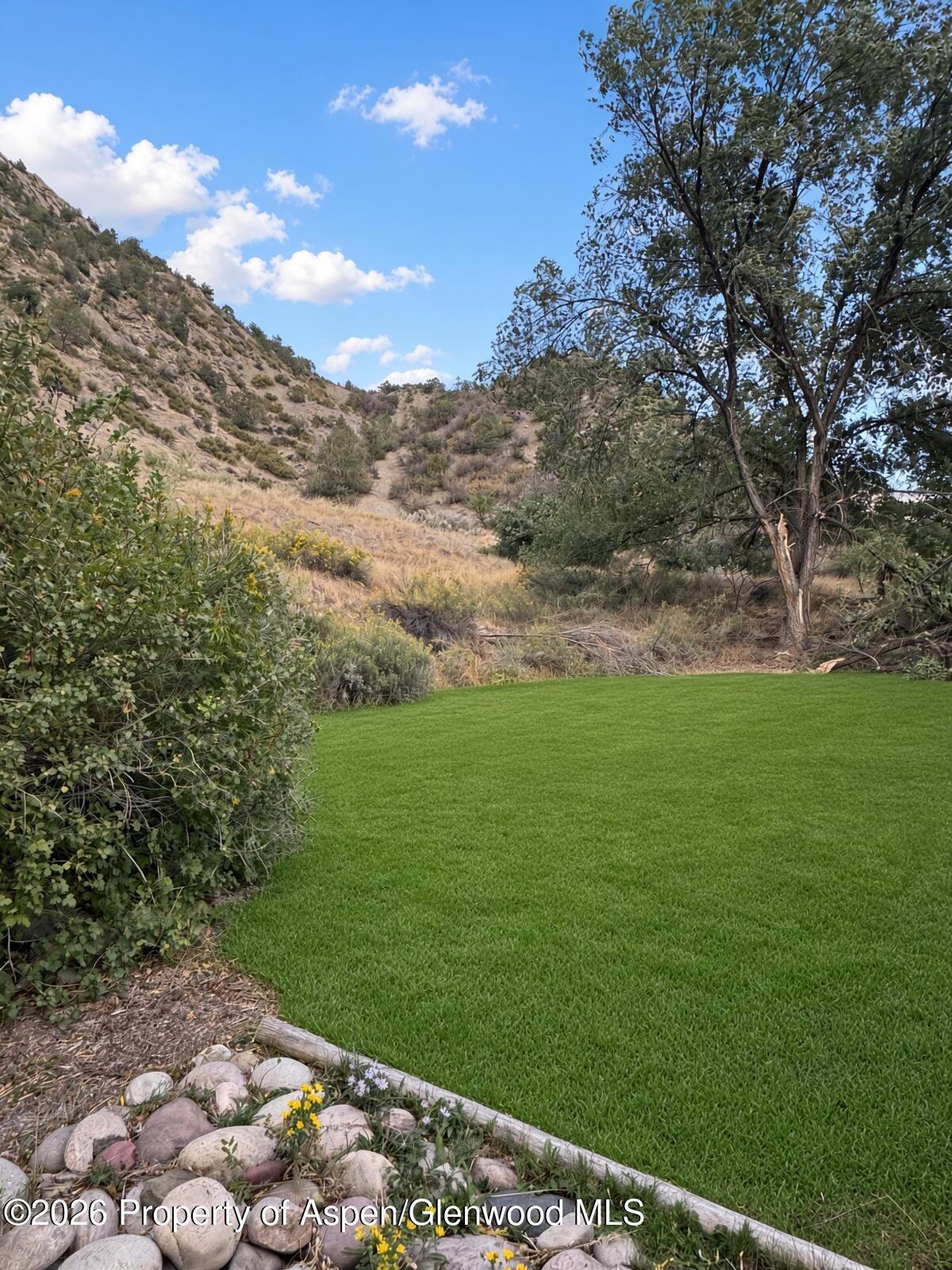 Green lawn beside a rocky hillside, framed by a mature tree and flowering border.