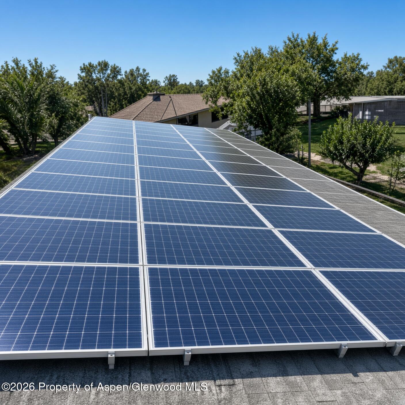 Solar panels cover a roof, with leafy trees and neighboring homes behind them.