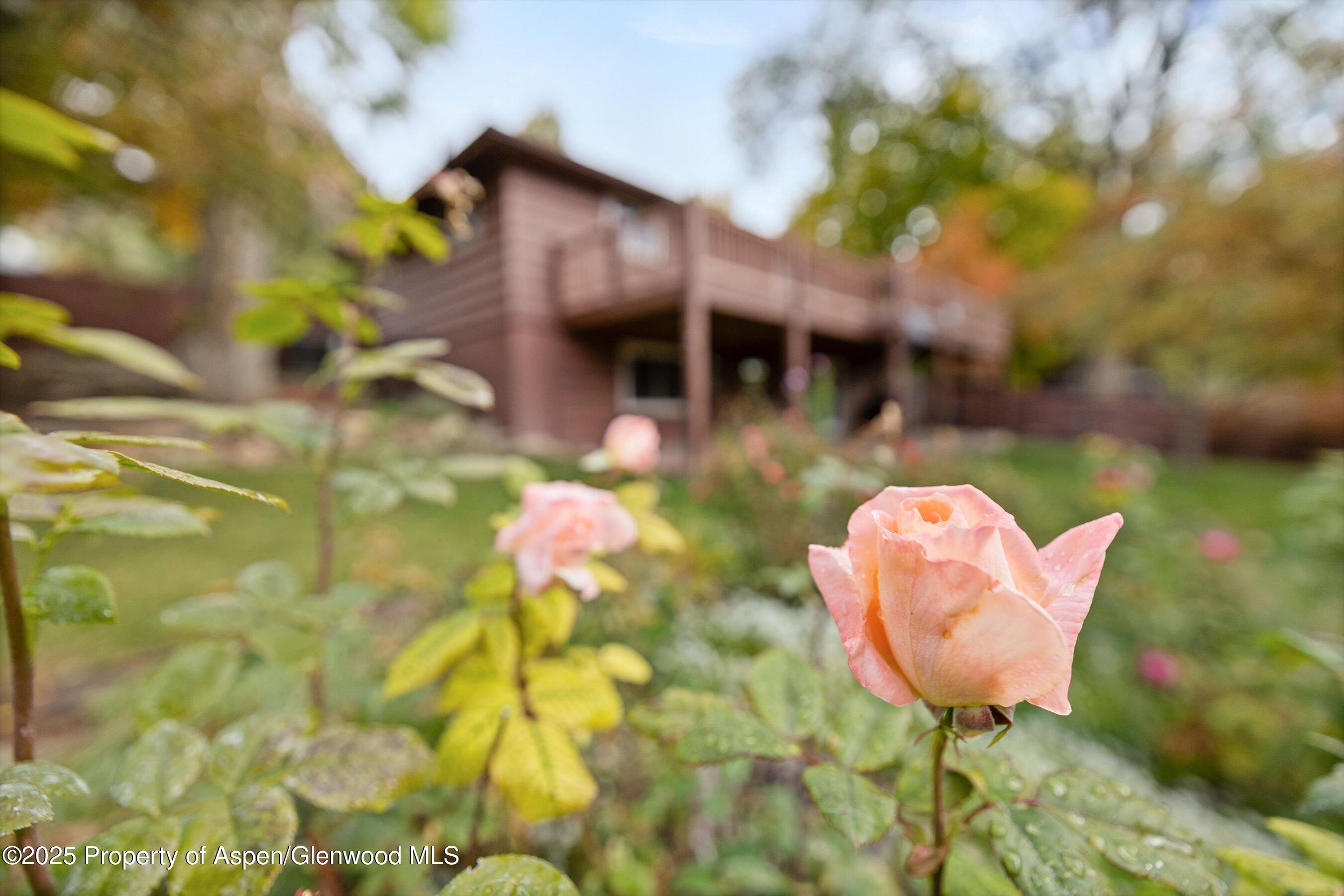 30 Mountain Shadows Drive