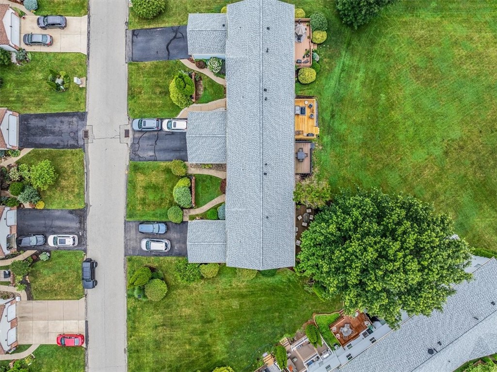 1443 Lexington Dr