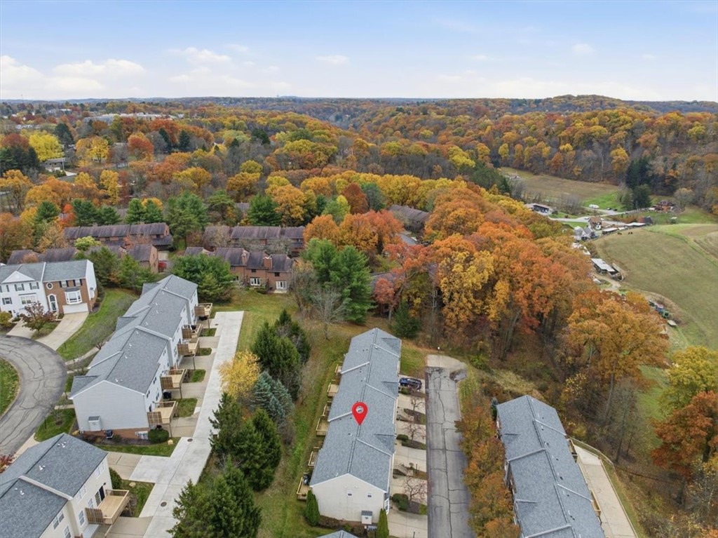 10534 Cherry Grove Ct