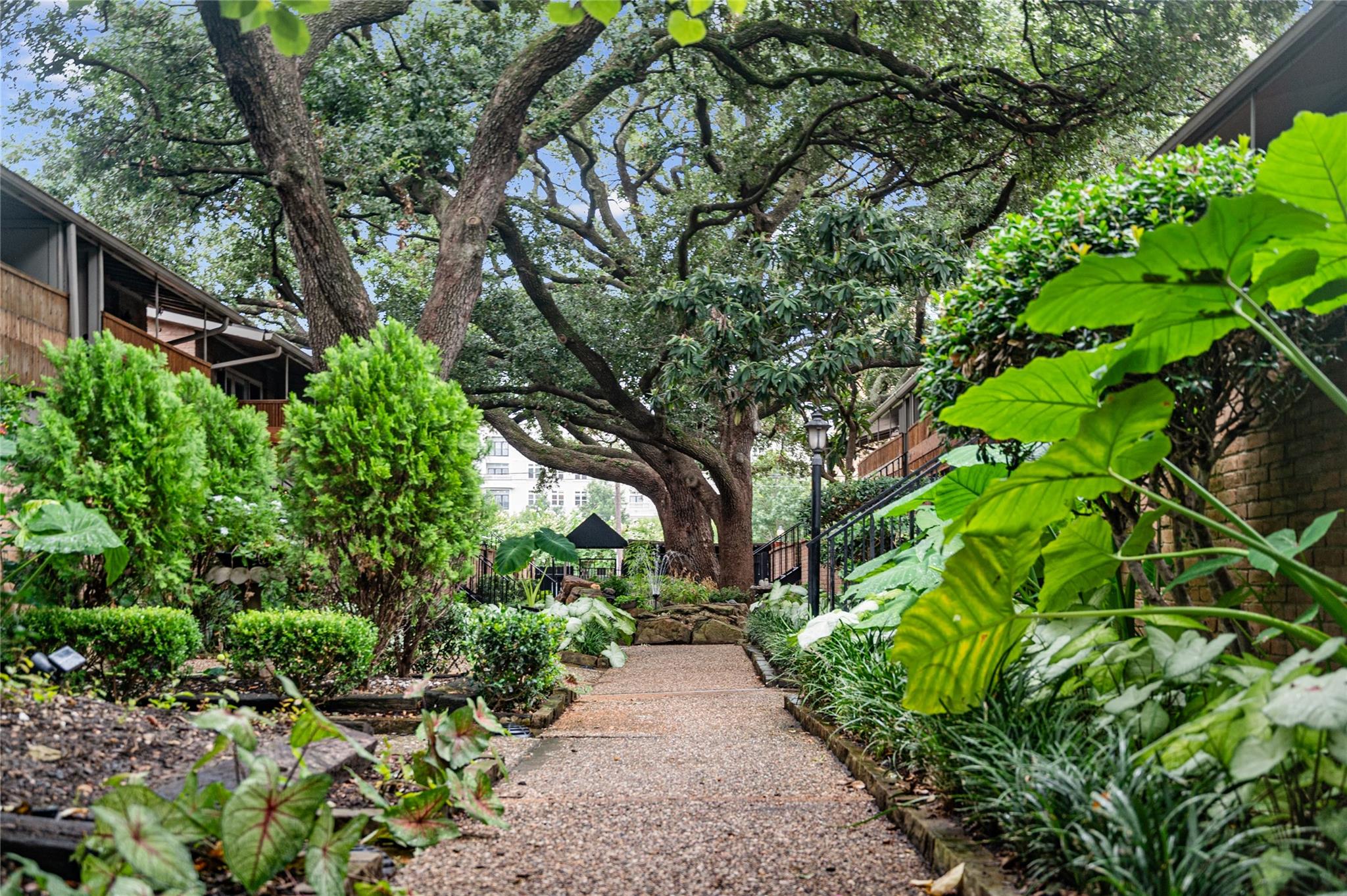 3926 W Alabama Street # 1, Houston Unit: 1