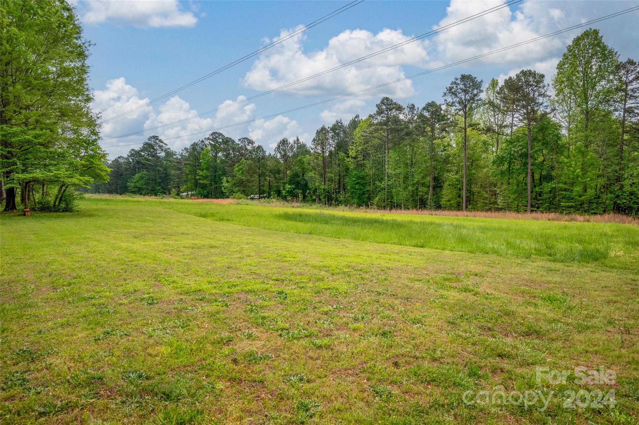 7038 Quailwood Drive