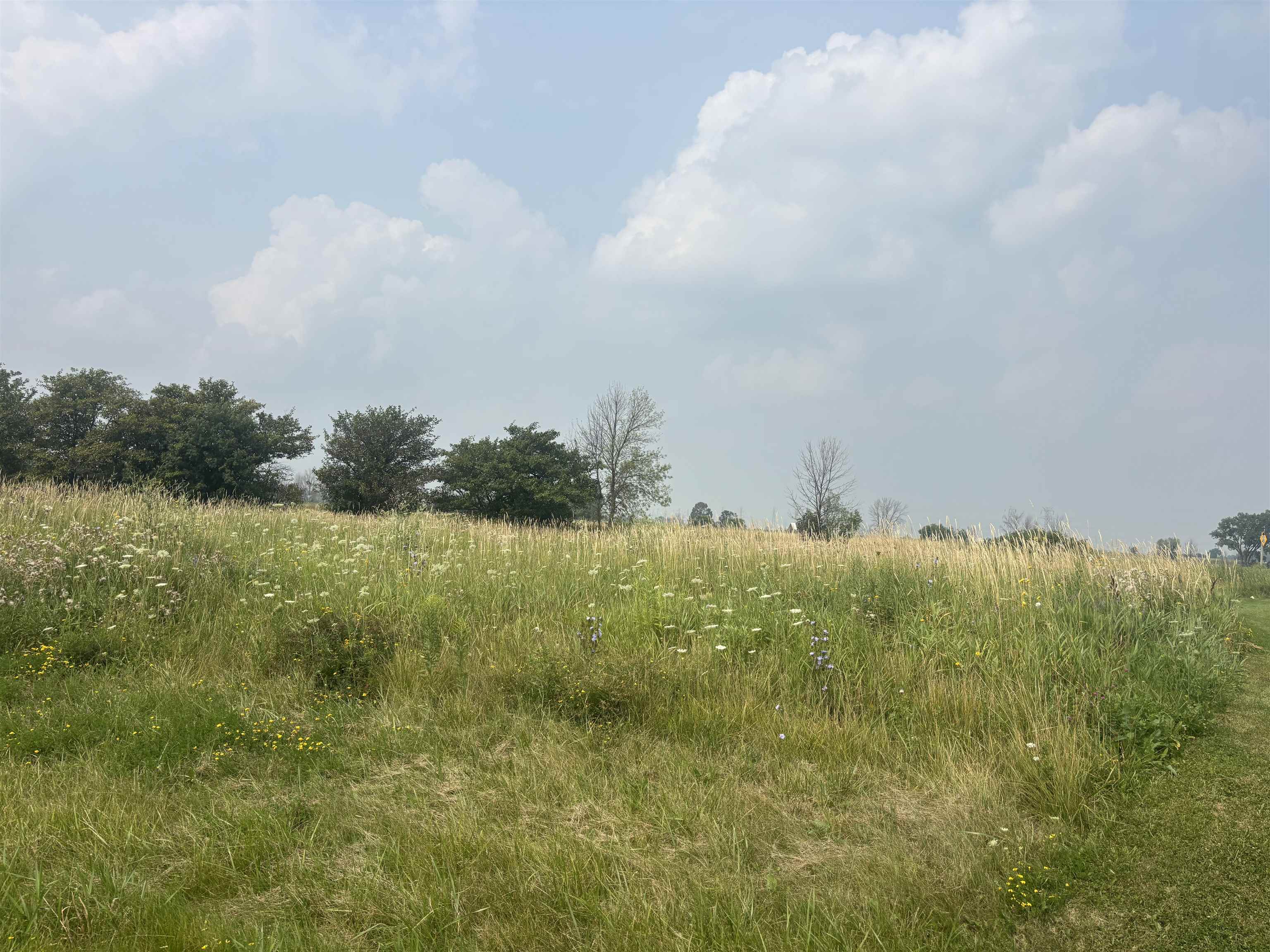 N9013 WILDFLOWER Lane