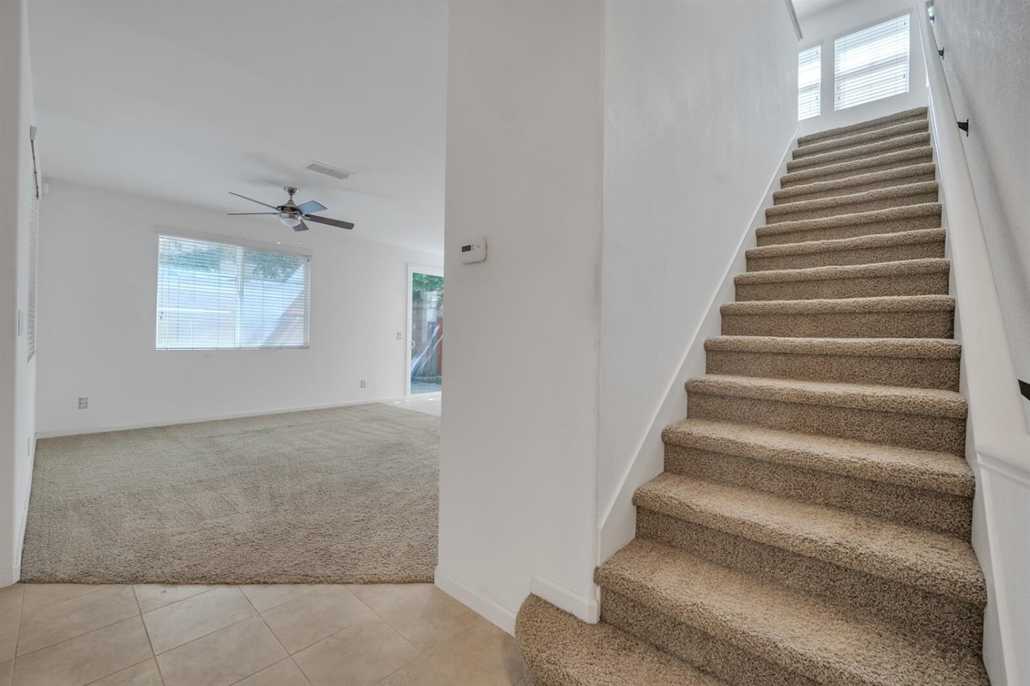 1392 Impressionist Loop