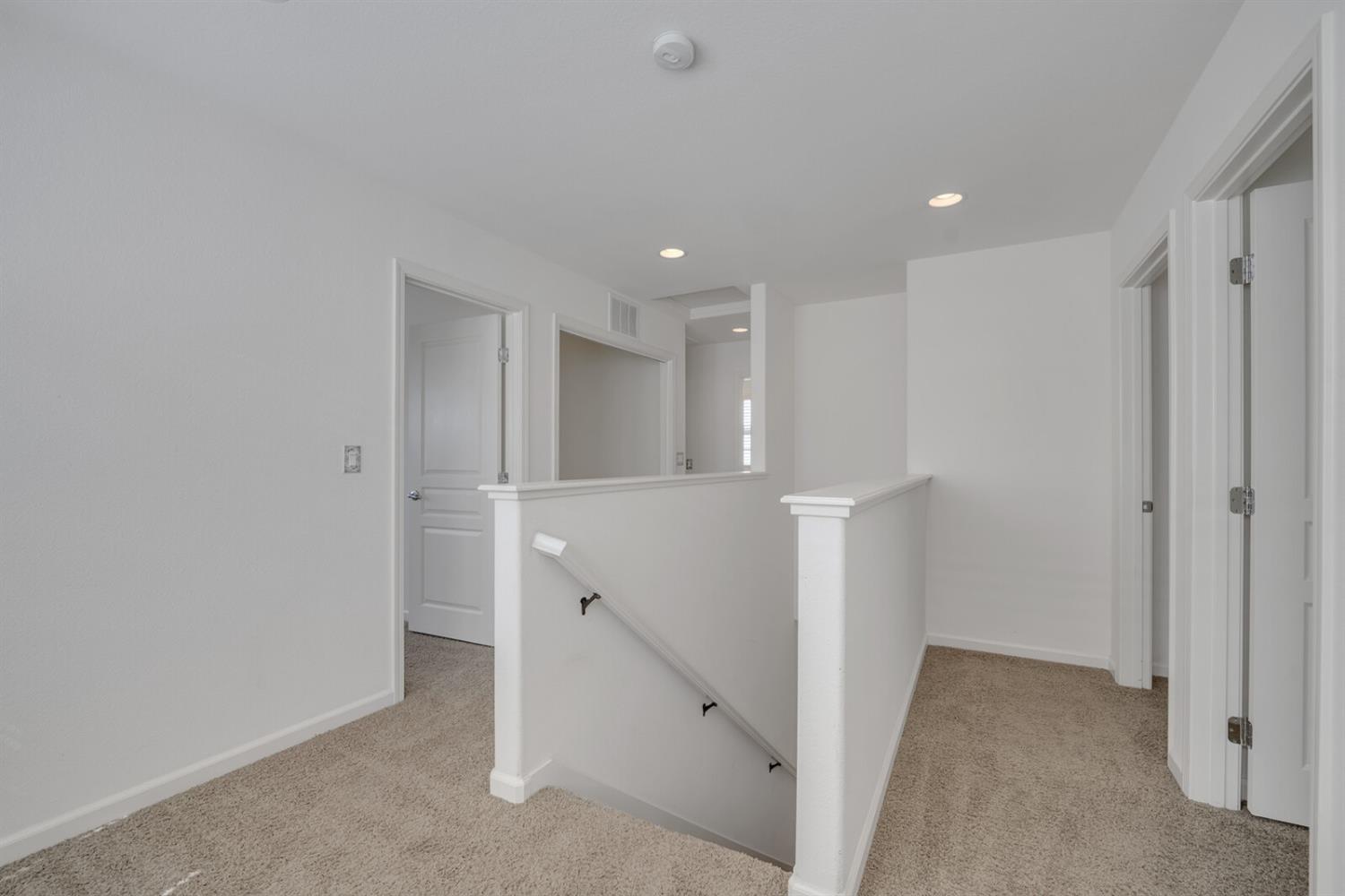 1392 Impressionist Loop