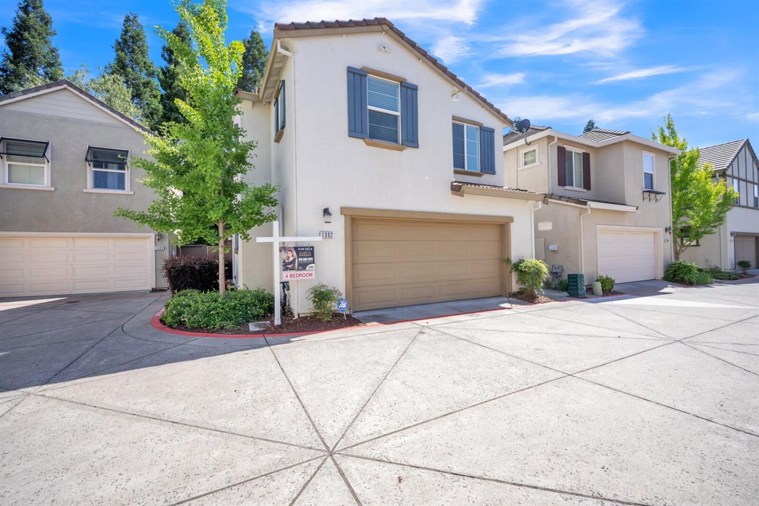 1392 Impressionist Loop