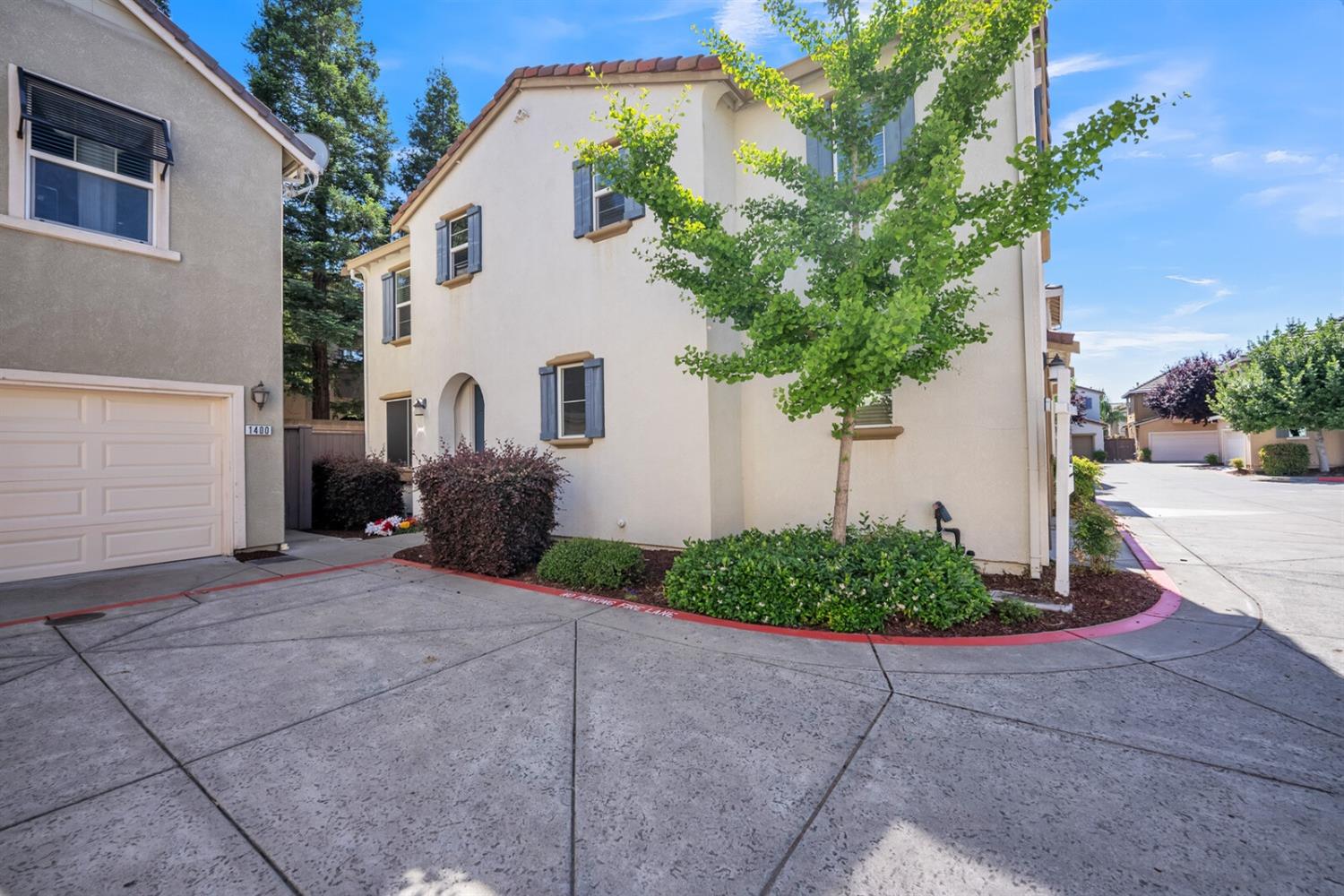 1392 Impressionist Loop