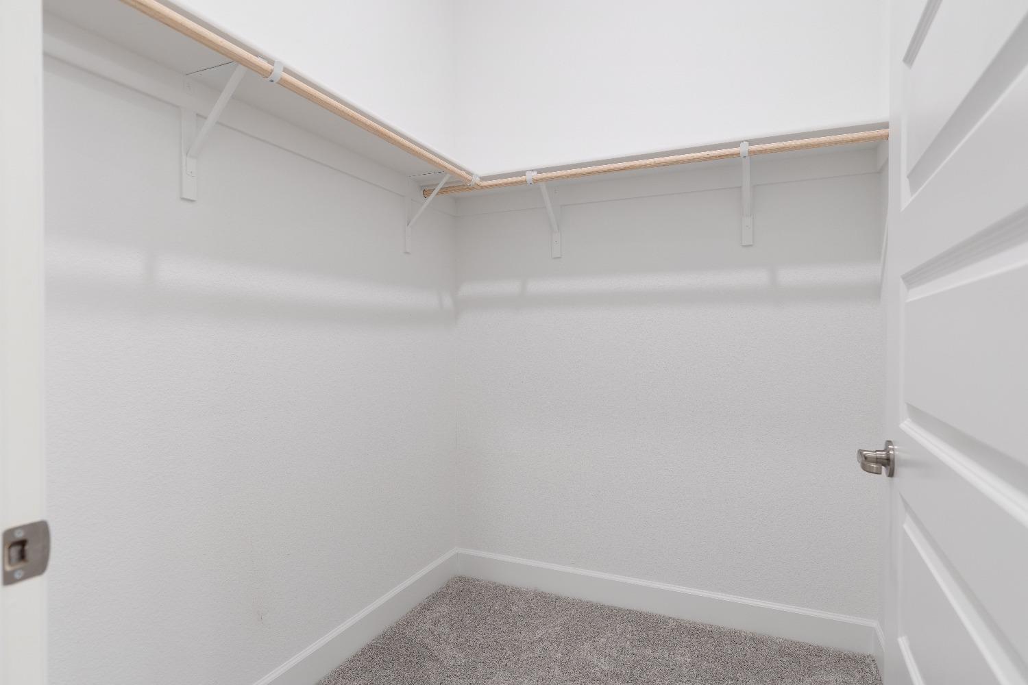 8349 Evans Tree Drive