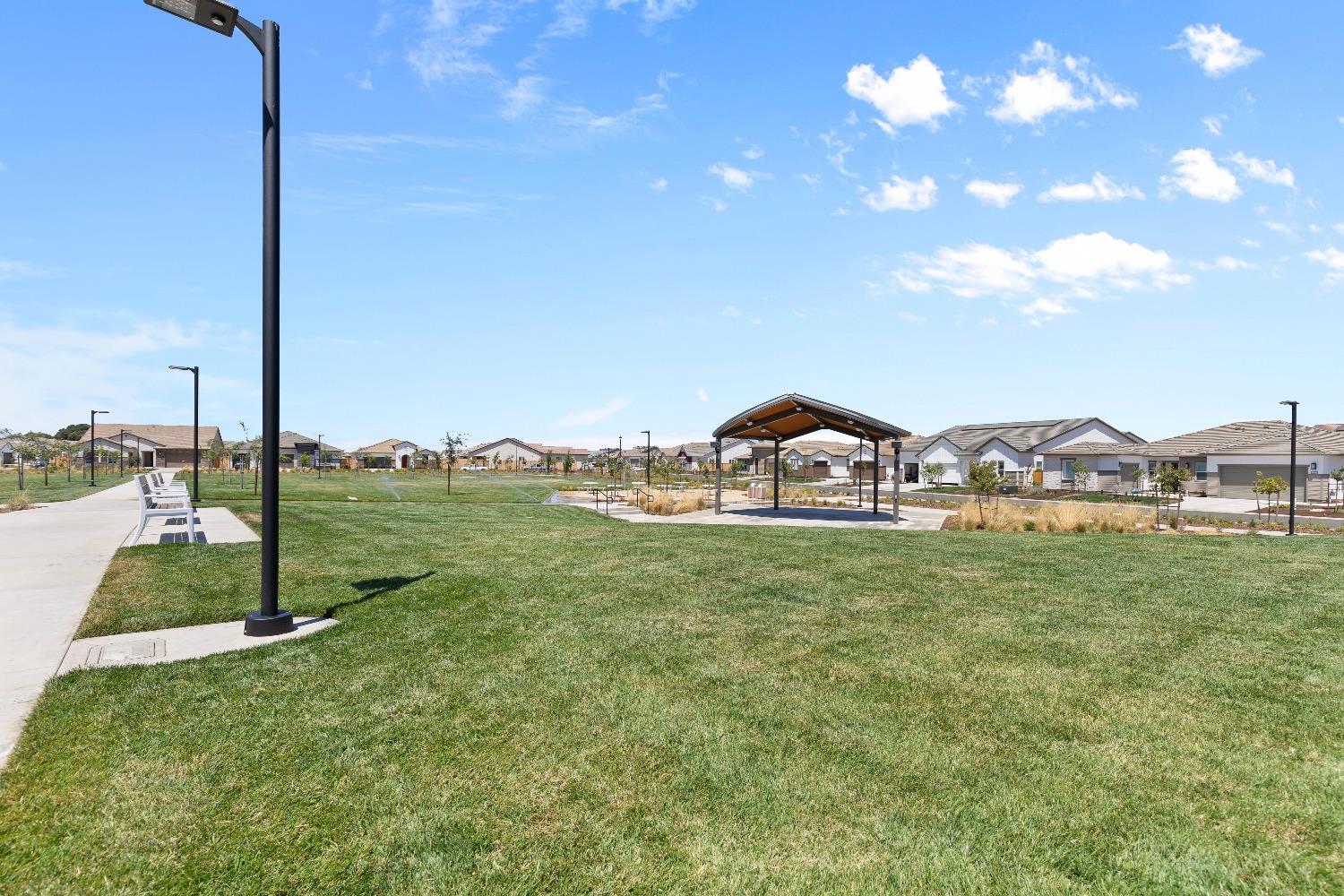 8349 Evans Tree Drive