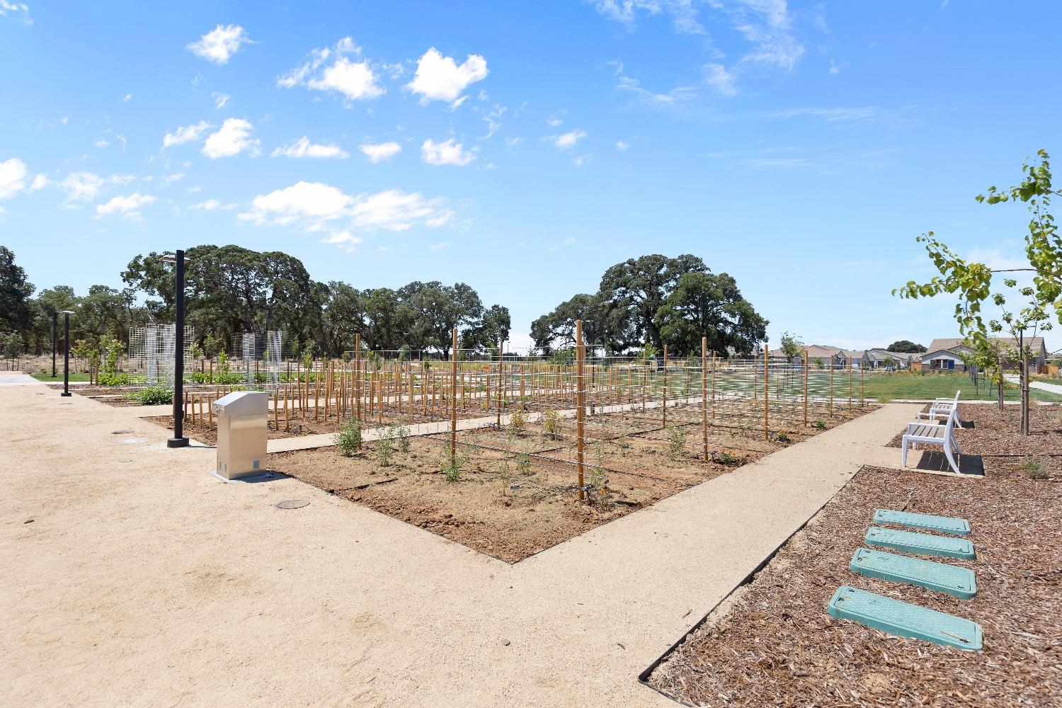 8349 Evans Tree Drive