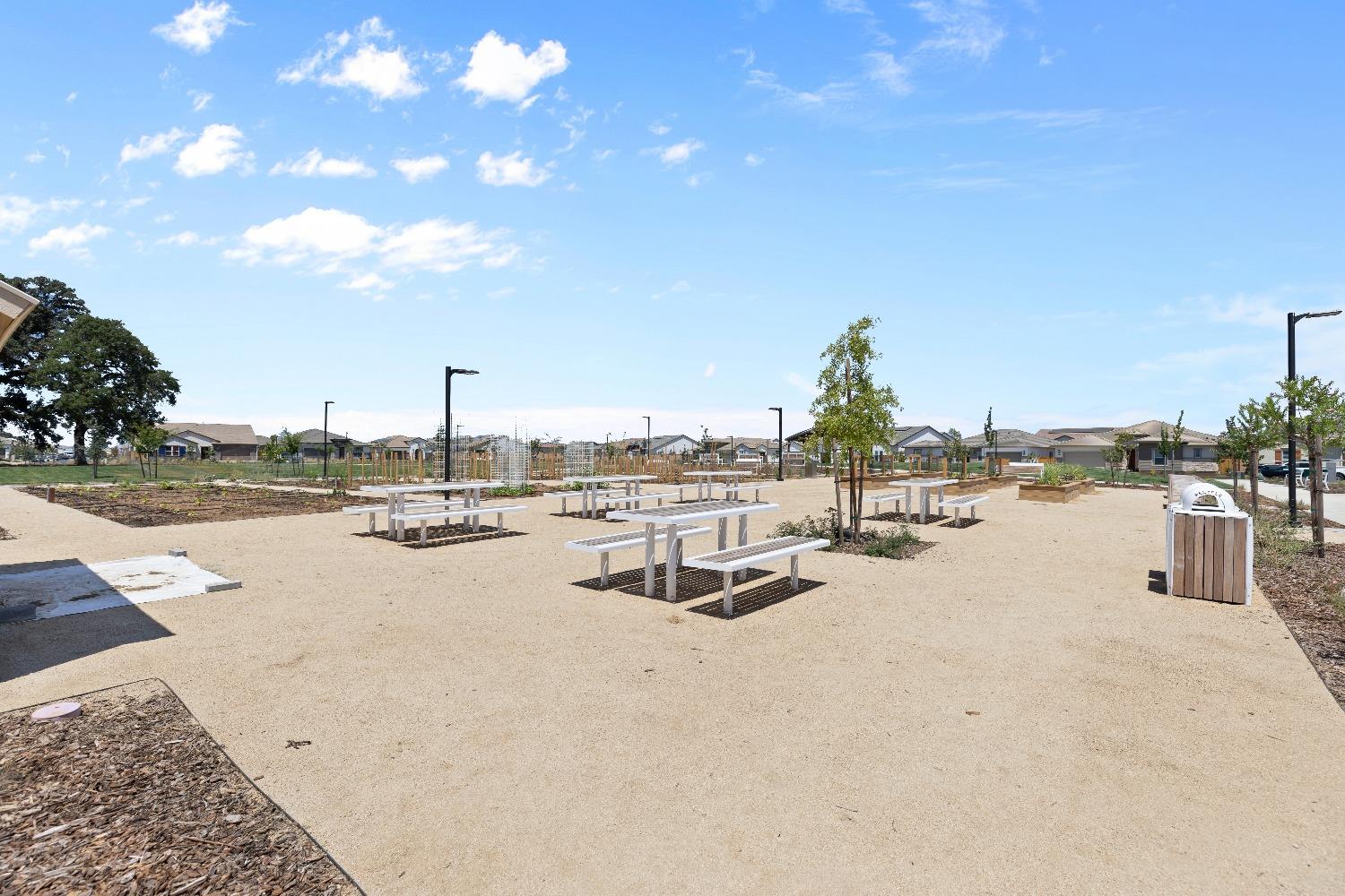 8349 Evans Tree Drive