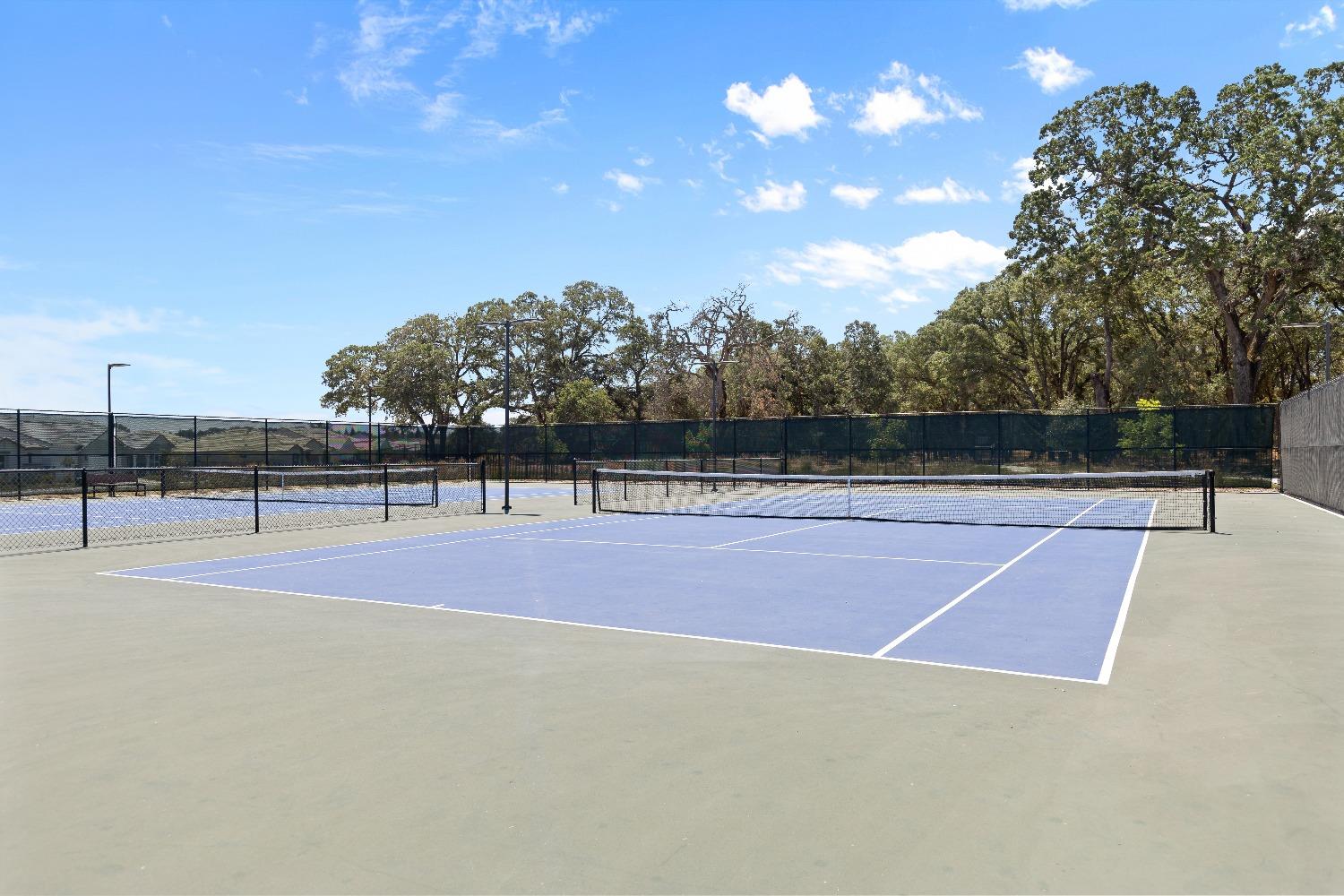 8349 Evans Tree Drive