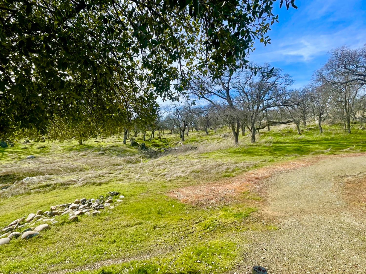 732 Morningside Court