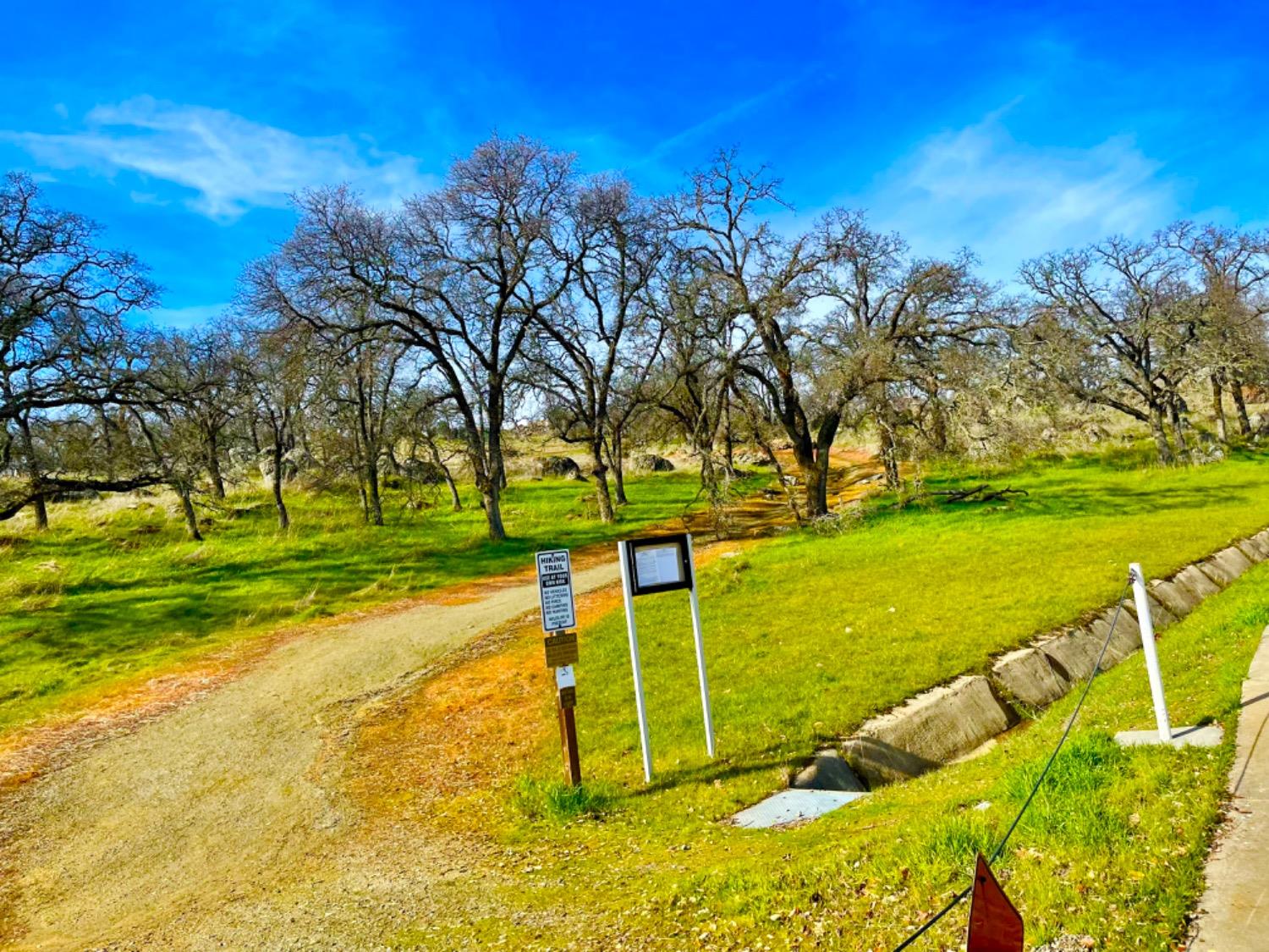 732 Morningside Court