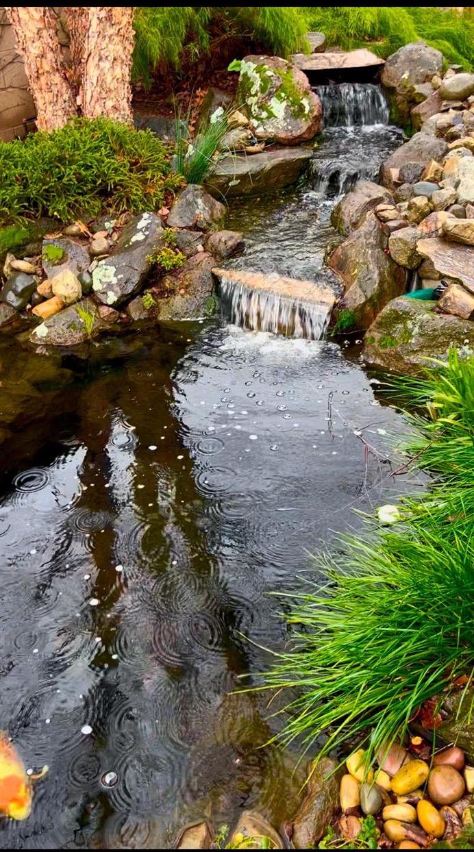 732 Morningside Court