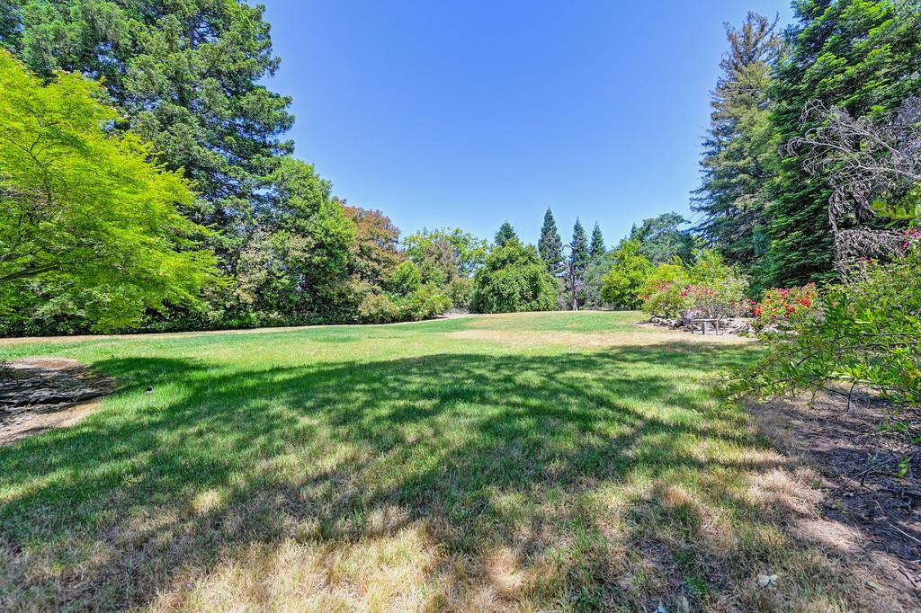 6435 Fern Leaf Drive