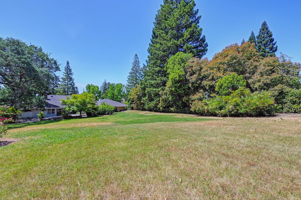 6435 Fern Leaf Drive