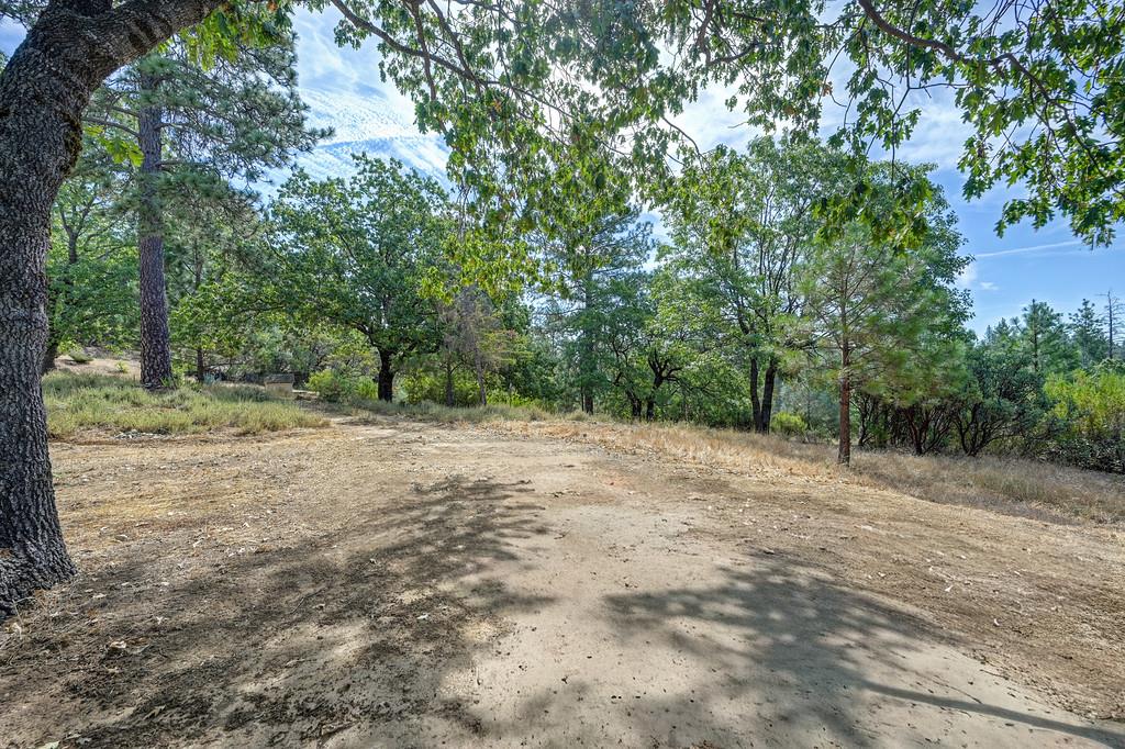 2120 Bear Rock Rd