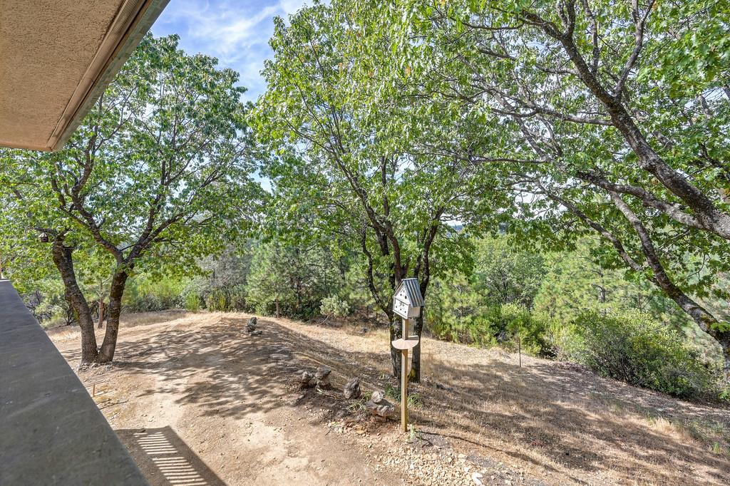 2120 Bear Rock Rd