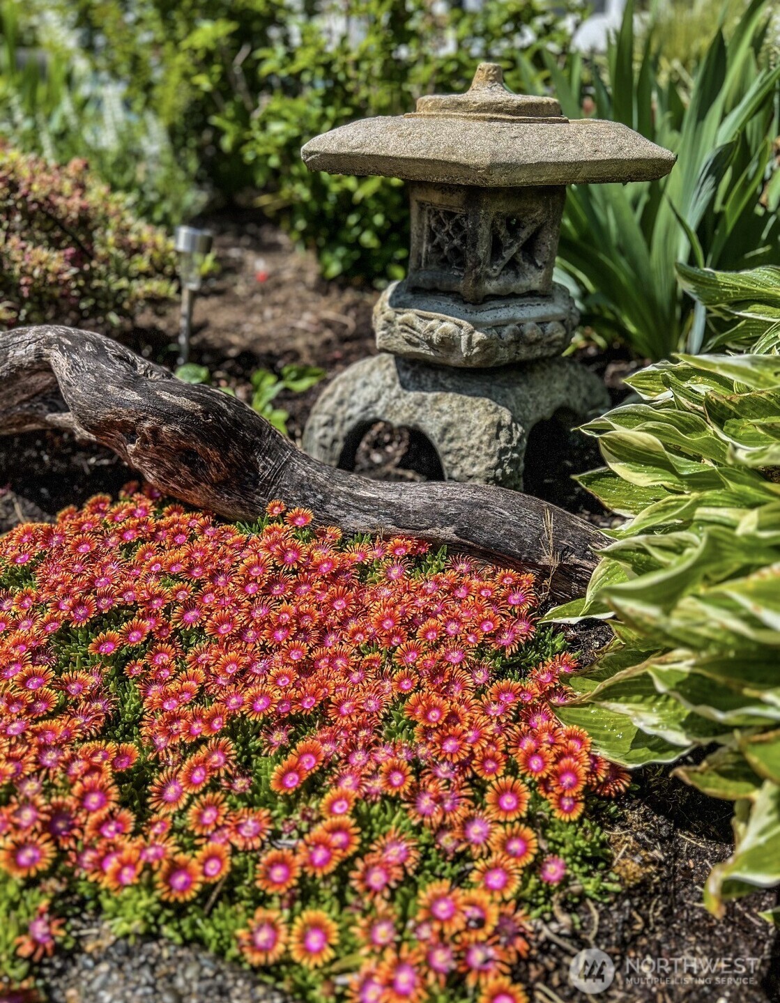 2253 McDonald Avenue