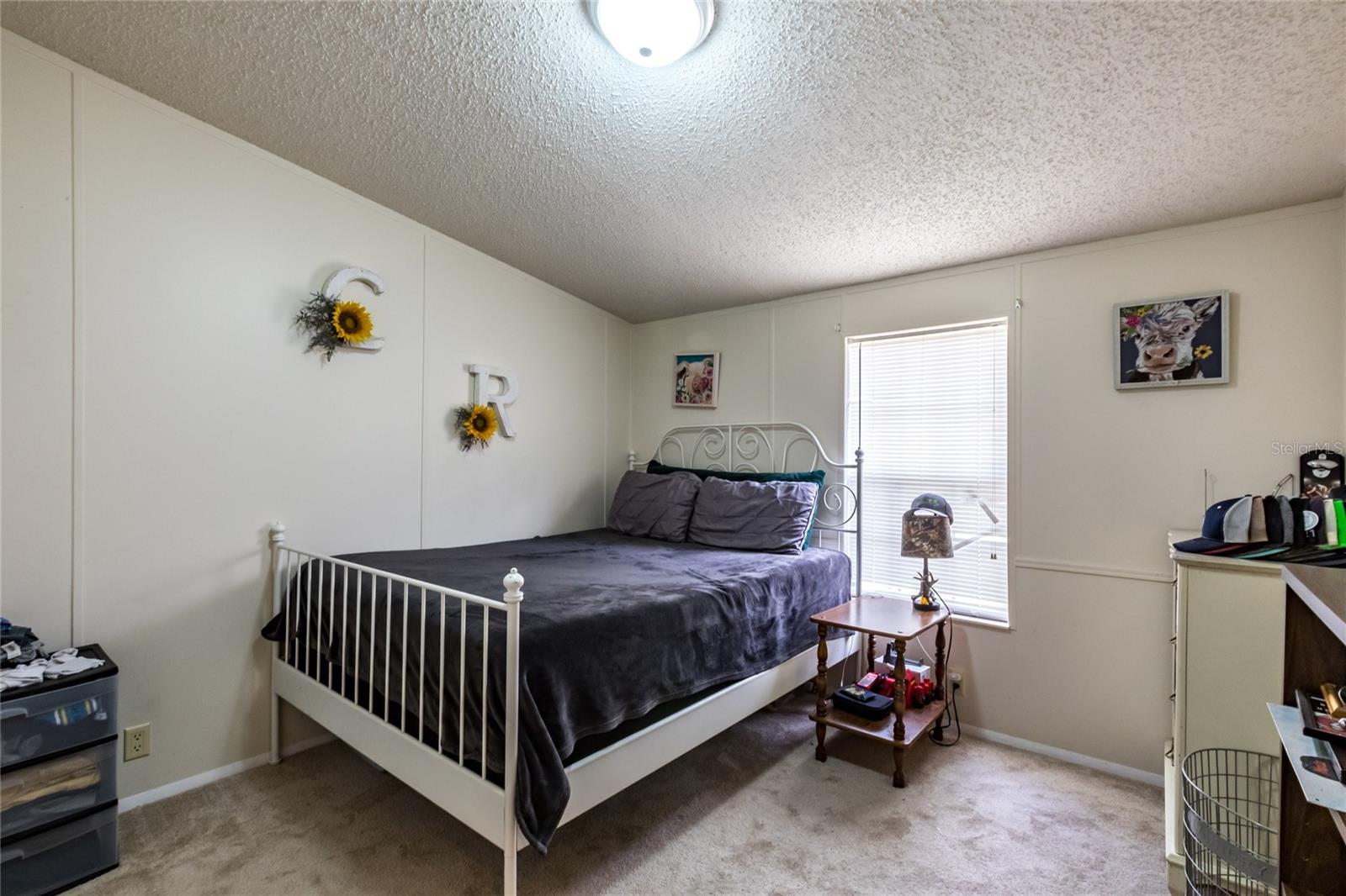 34942 LOUISE RD