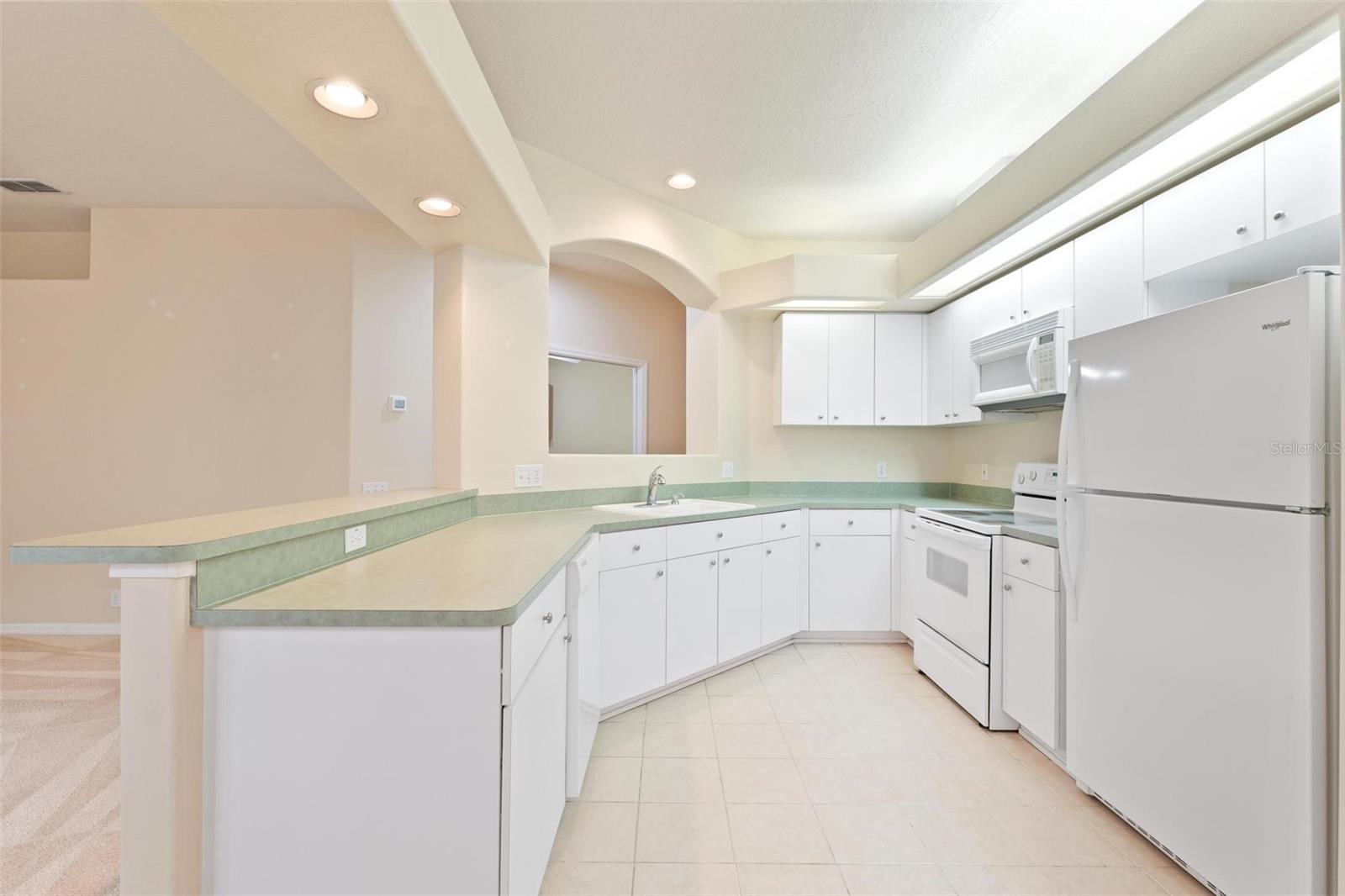 14466 TAMARIND LOOP