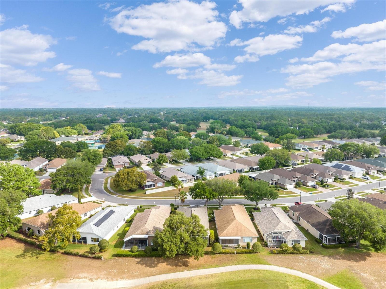 14466 TAMARIND LOOP