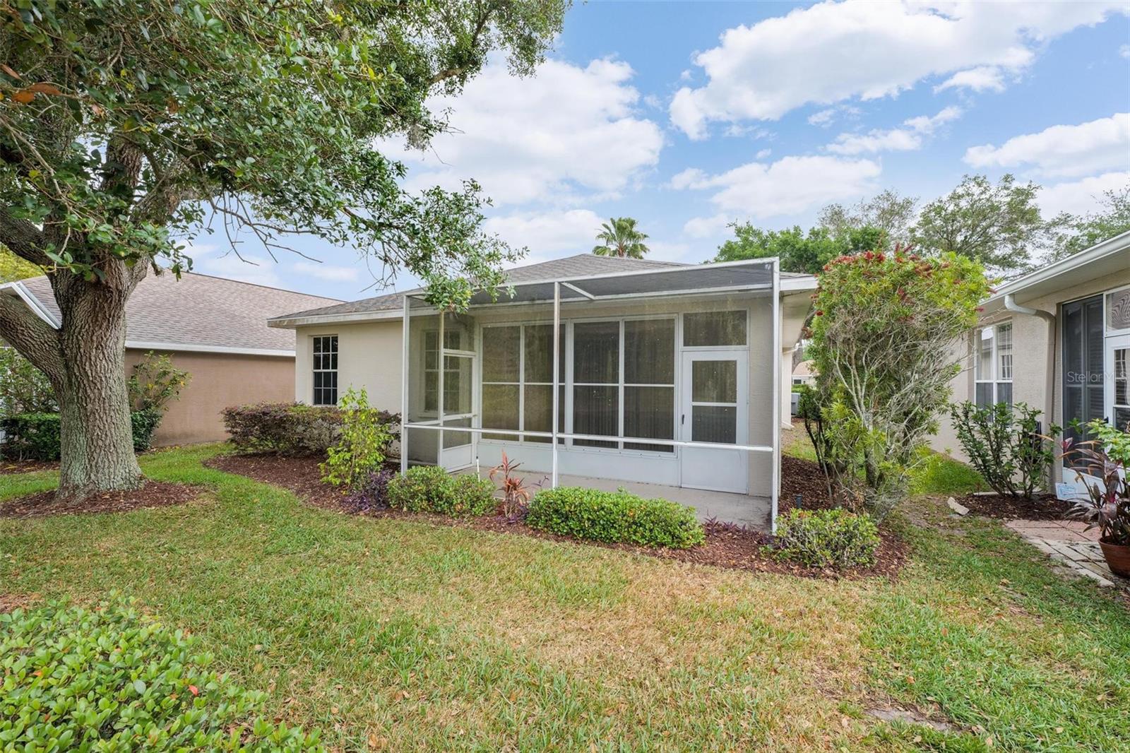 14466 TAMARIND LOOP